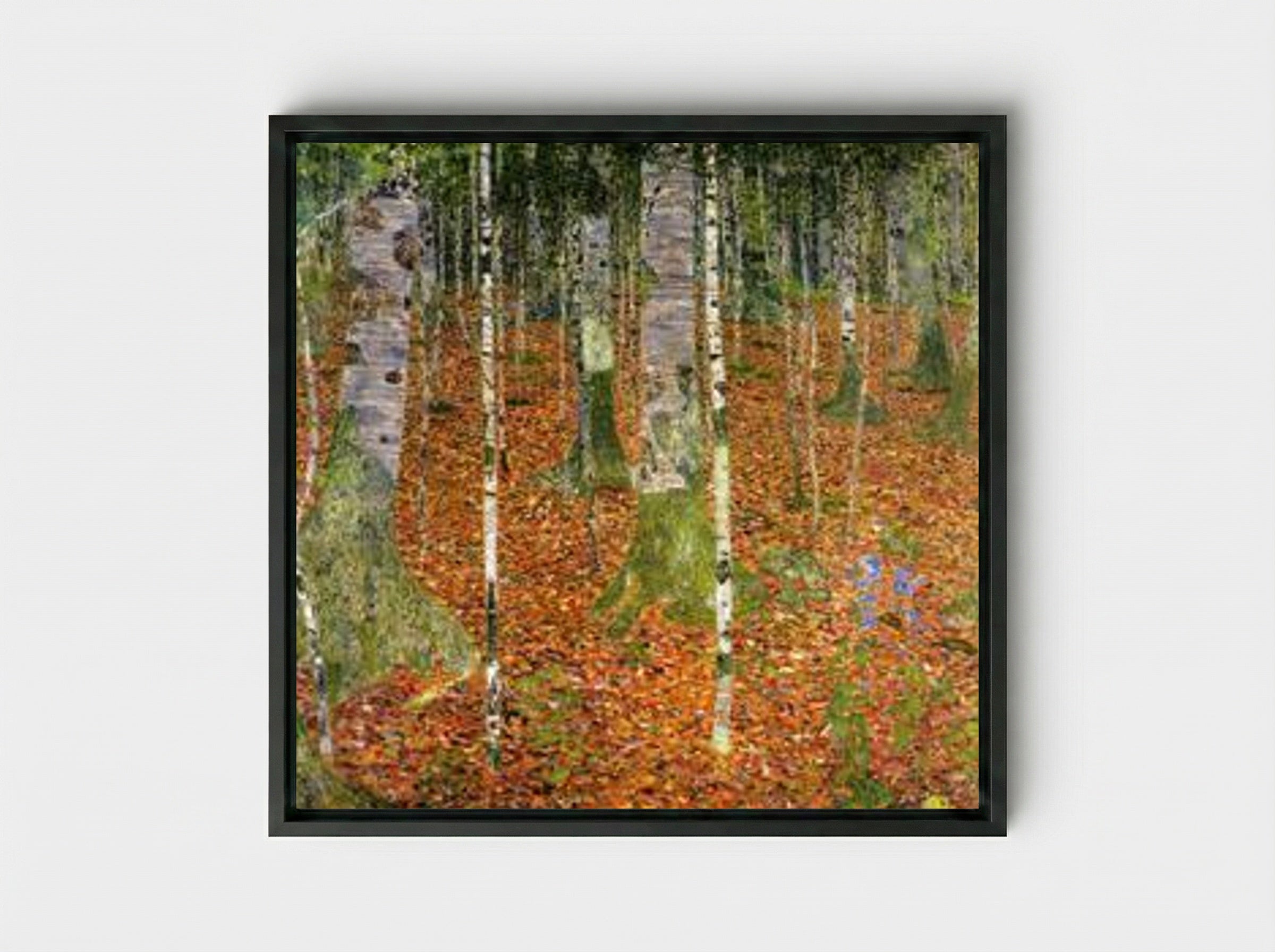 Birch Forest - Gustav Klimt - Framed Canvas Black