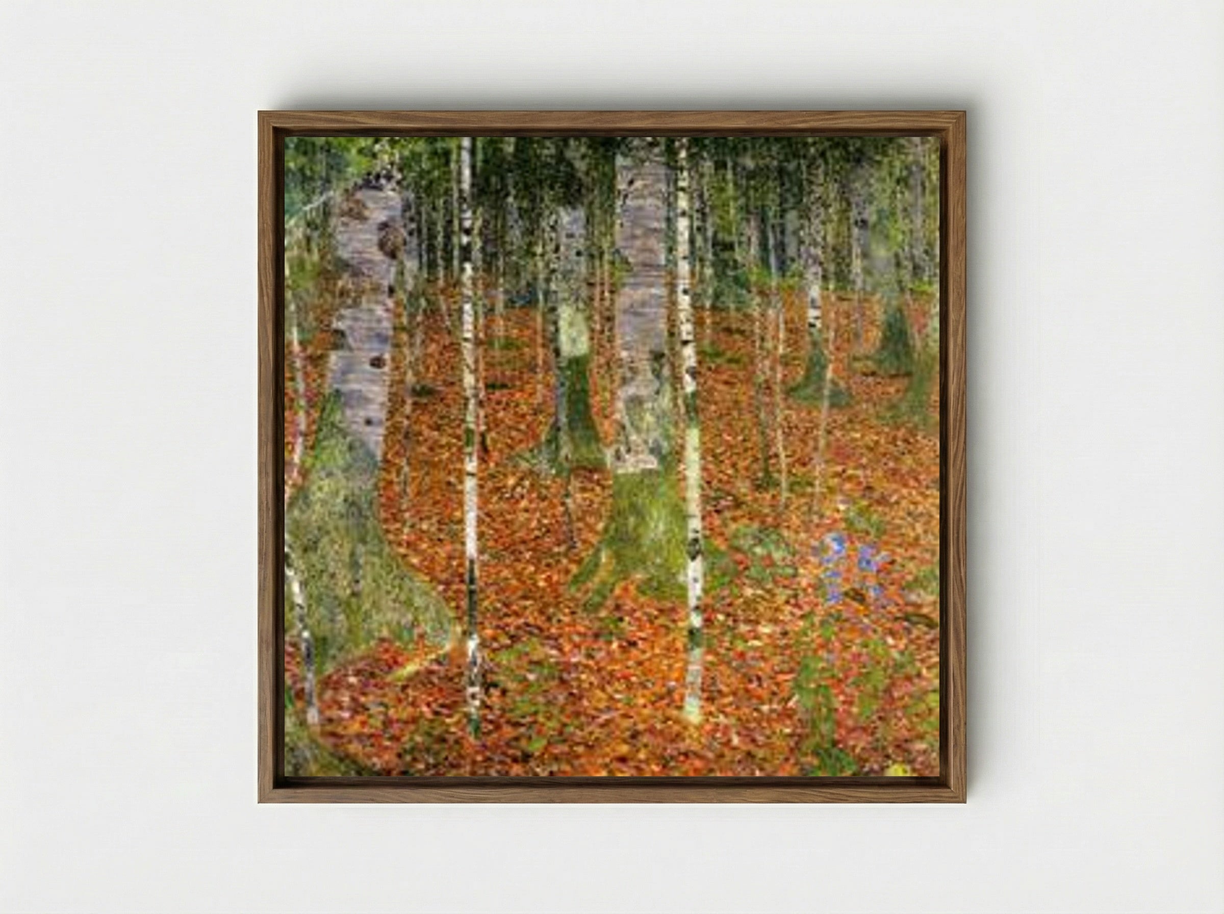 Birch Forest - Gustav Klimt - Framed Canvas Wood