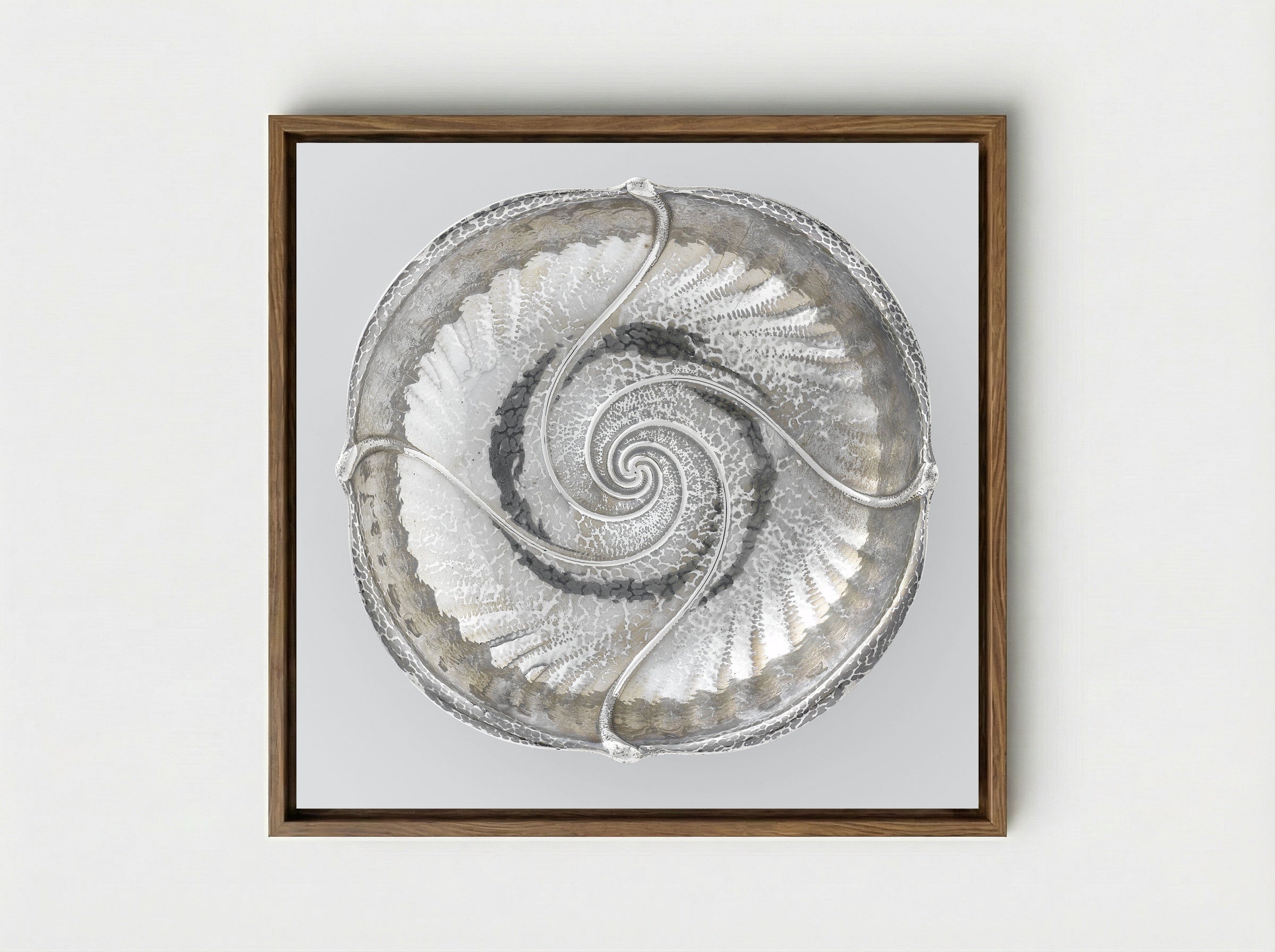 Doos of presse-papier - Frans Zwollo (I) - Framed Canvas Wood
