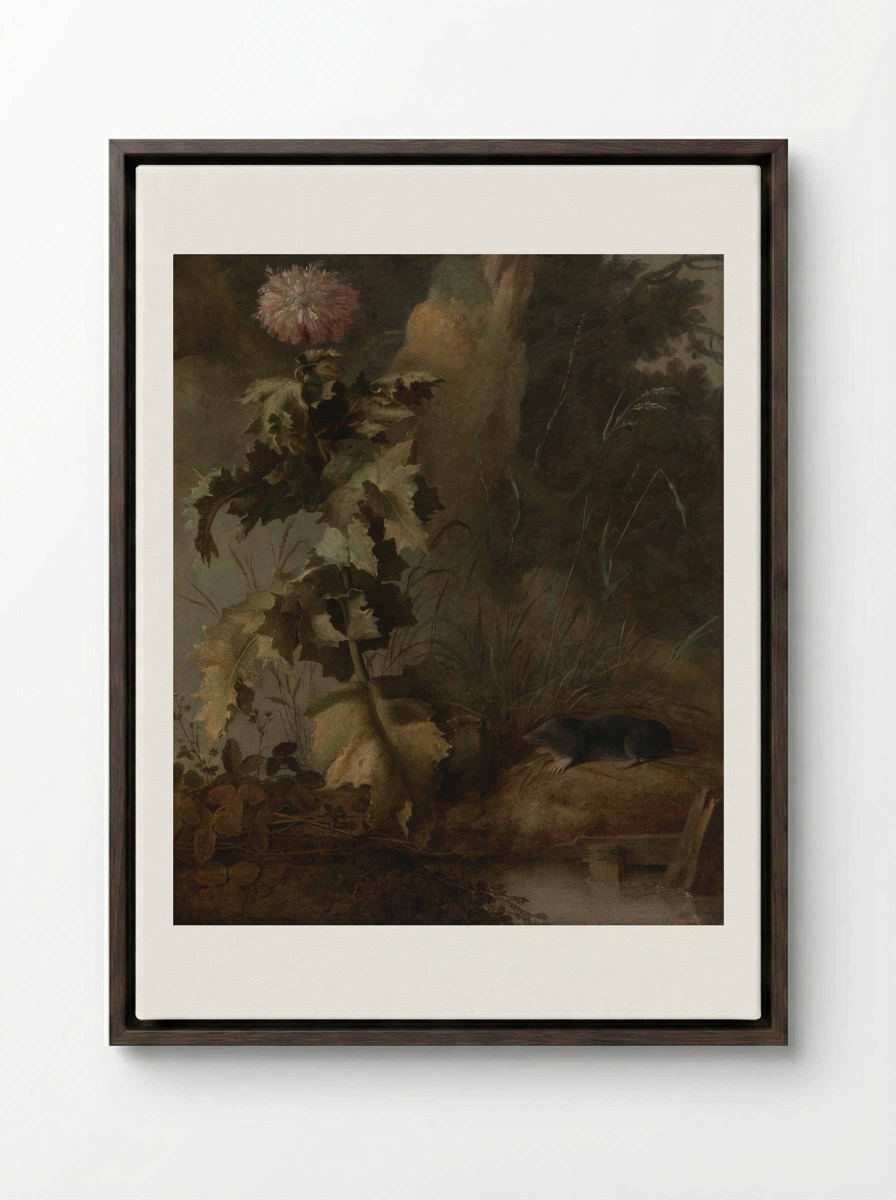 An Egyptian Poppy and a Water Mole - John Crome - Framed Canvas Dark Wood
