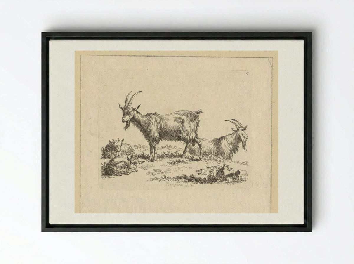 Twee geiten en twee lammeren - François Vivares - Framed Canvas Black