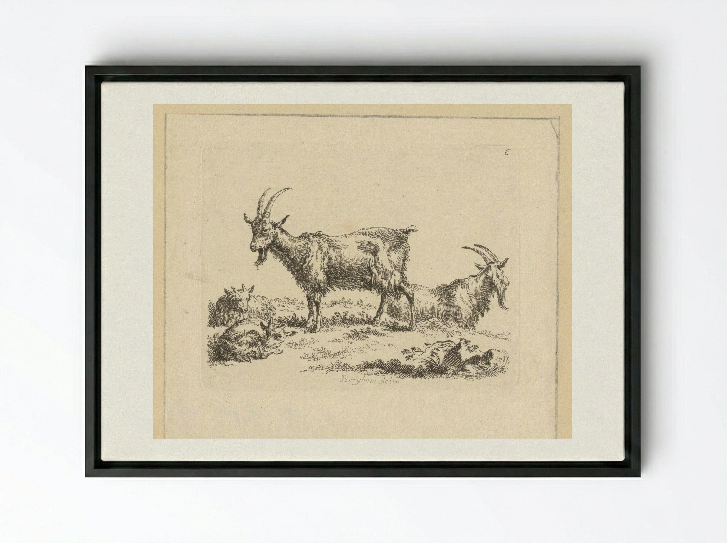 Twee geiten en twee lammeren - François Vivares - Framed Canvas Black