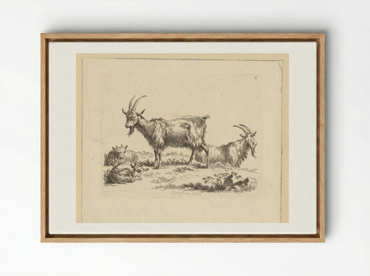 Twee geiten en twee lammeren - François Vivares - Framed Canvas Wood