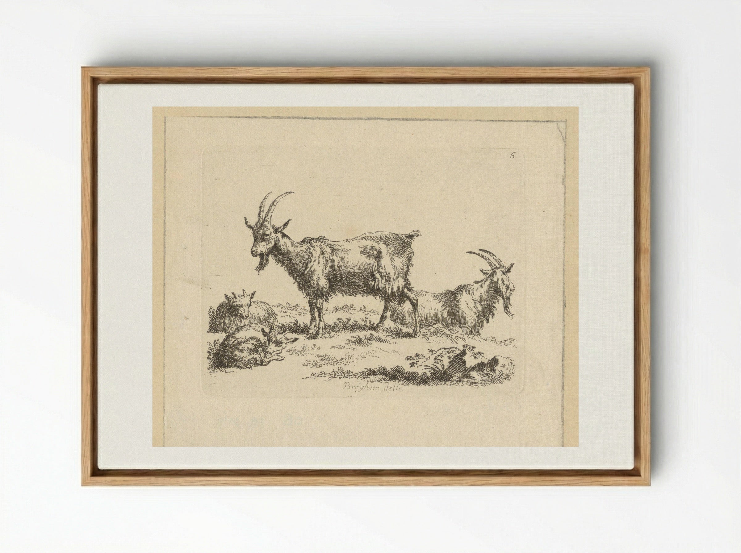 Twee geiten en twee lammeren - François Vivares - Framed Canvas Wood