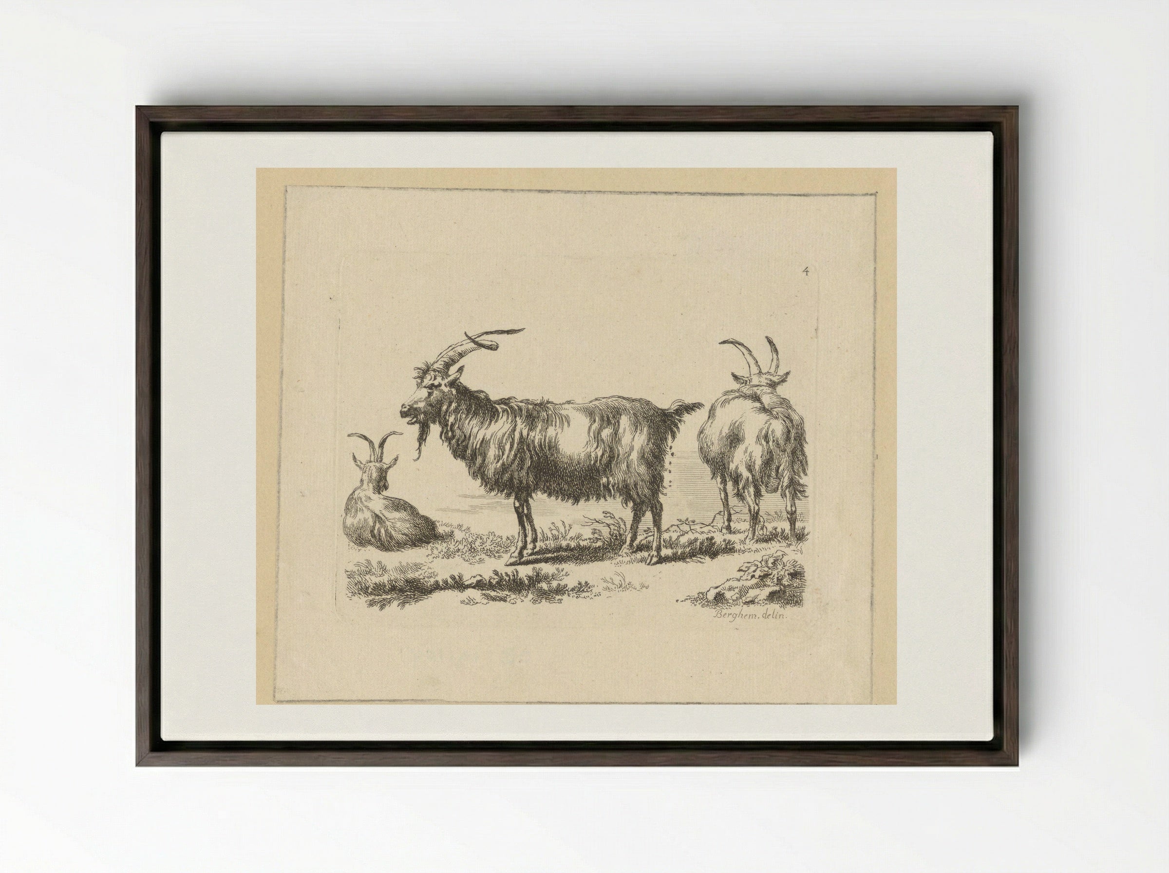 Drie geiten - François Vivares - Framed Canvas Dark Wood