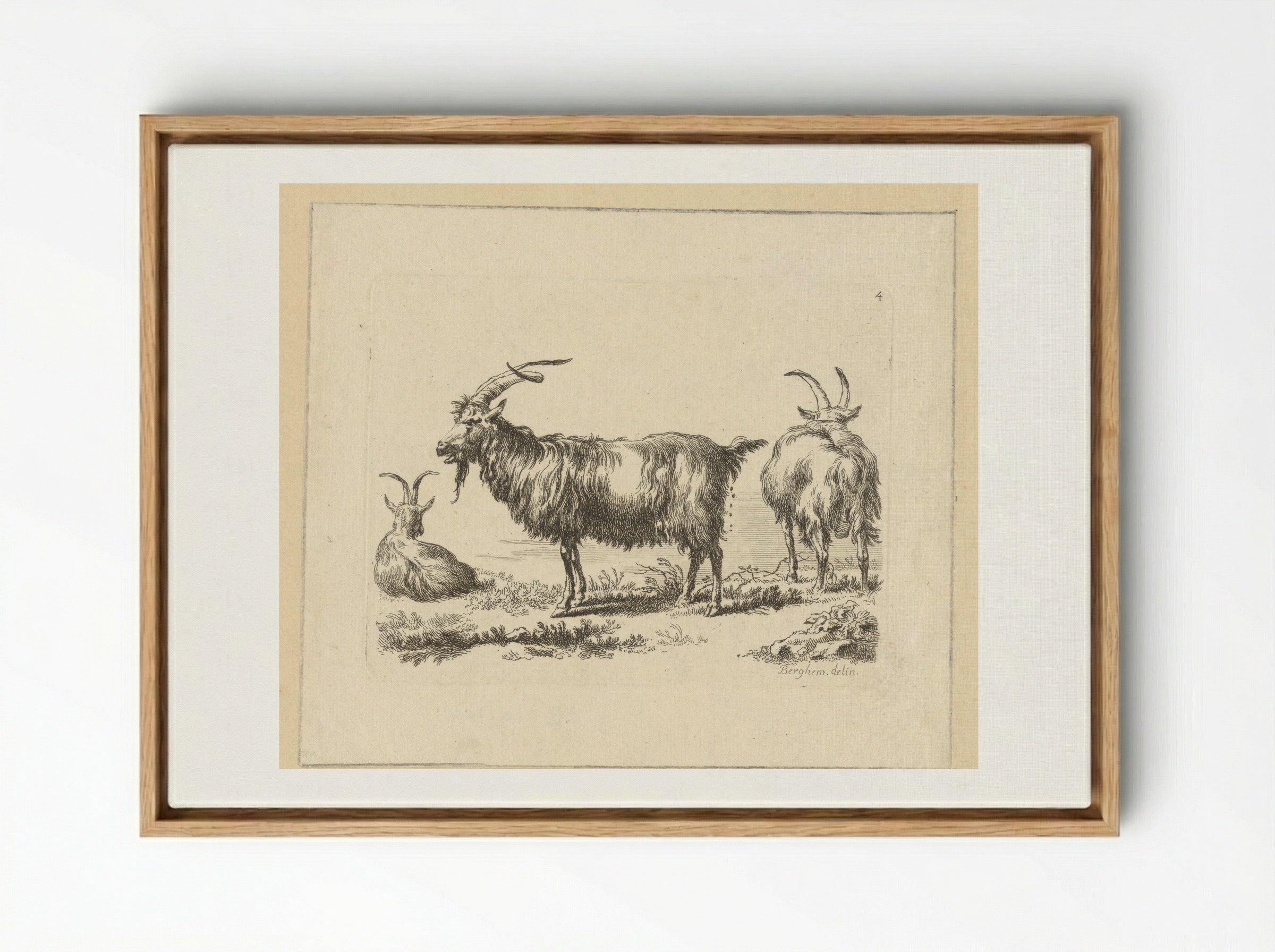 Drie geiten - François Vivares - Framed Canvas Wood