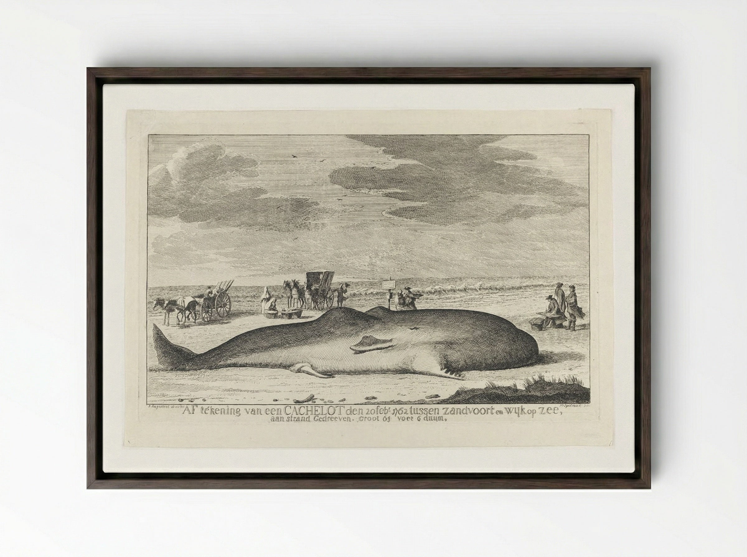 The Whale Stranded between Zandvoort and Wijk Op Zee - Hendrik Spilman - Framed Canvas Dark Wood