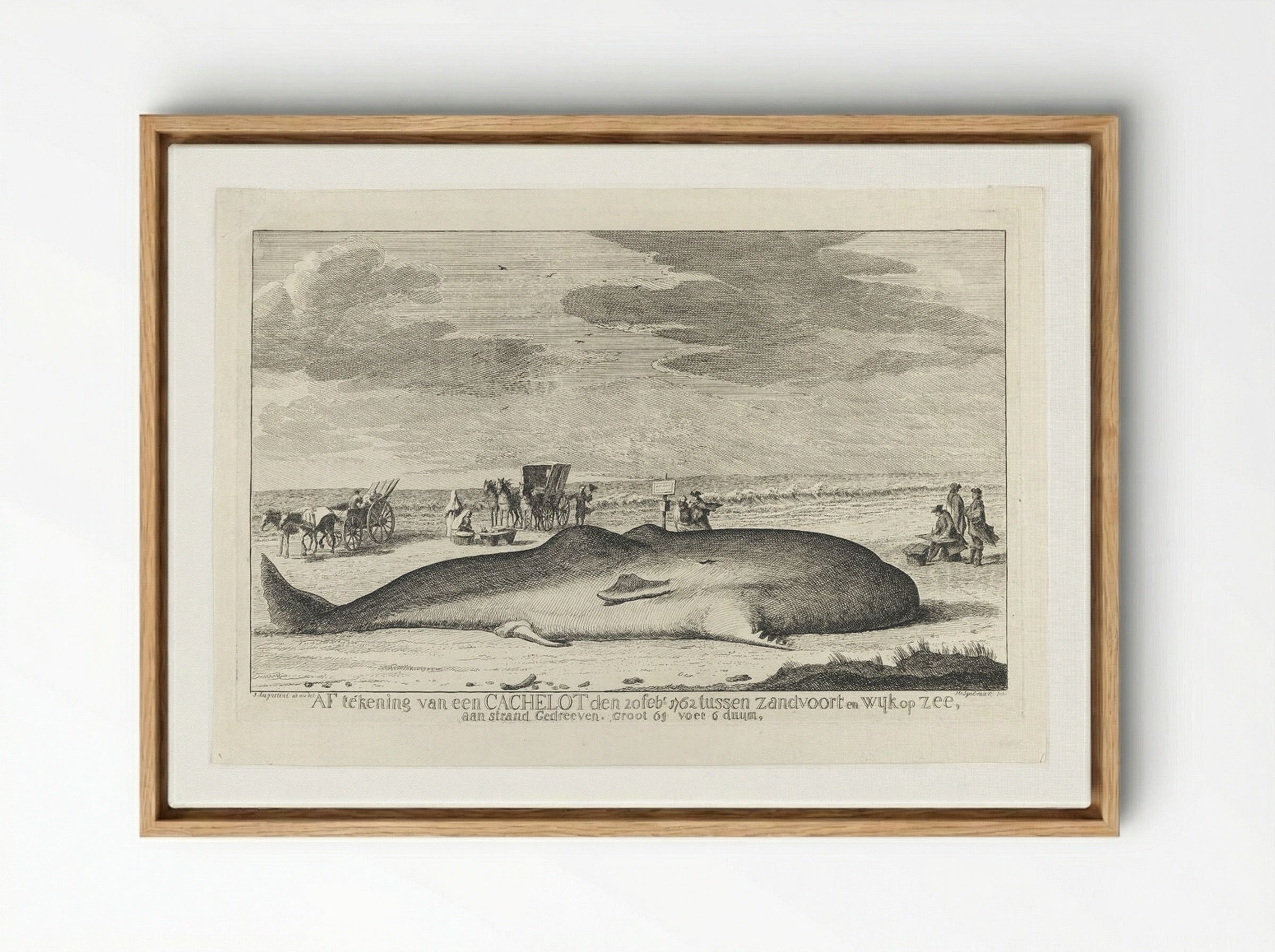 The Whale Stranded between Zandvoort and Wijk Op Zee - Hendrik Spilman - Framed Canvas Wood