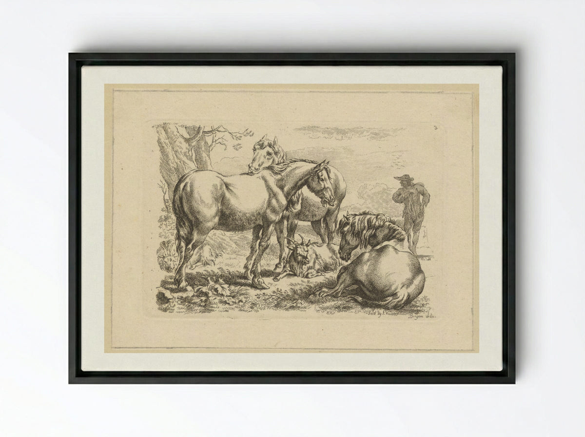 Drie paarden een geit - François Vivares - Framed Canvas Black