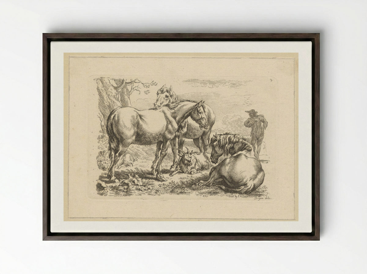 Drie paarden een geit - François Vivares - Framed Canvas Dark Wood