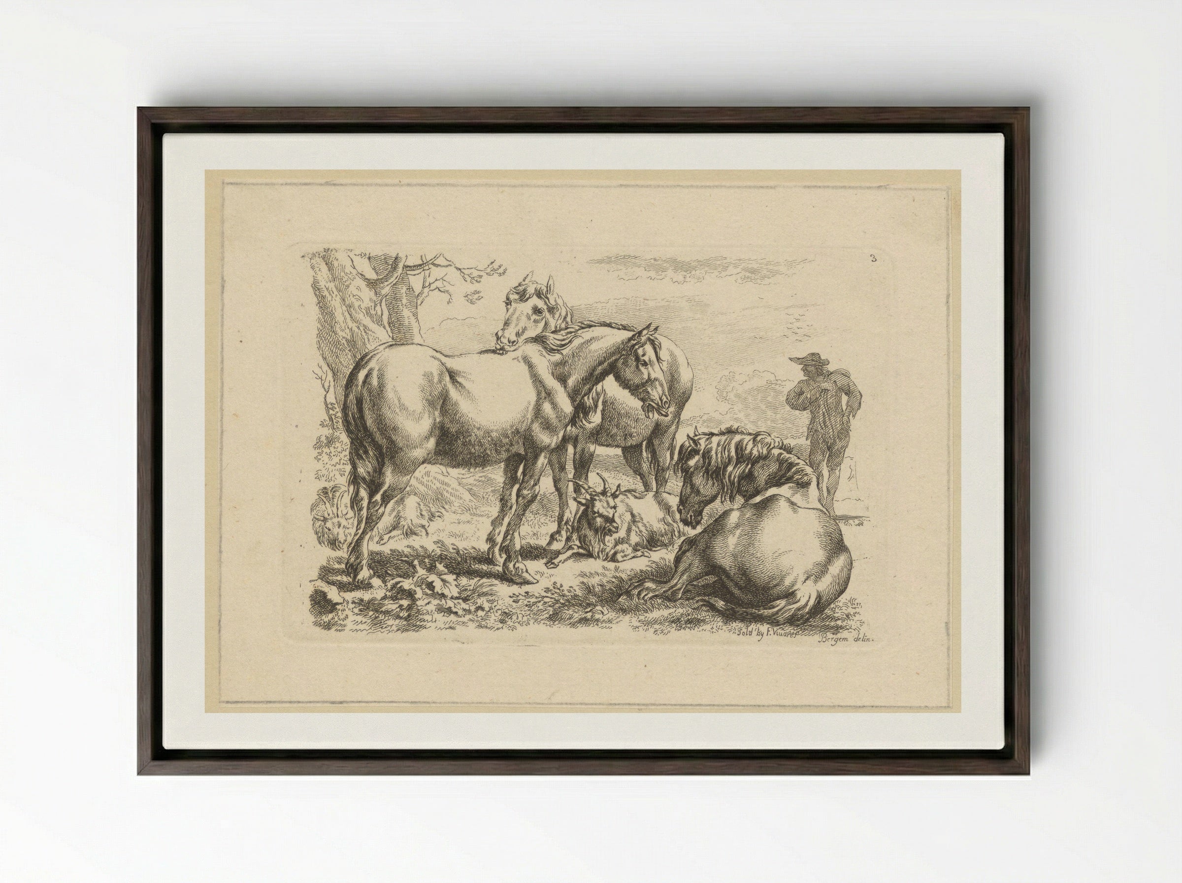 Drie paarden een geit - François Vivares - Framed Canvas Dark Wood