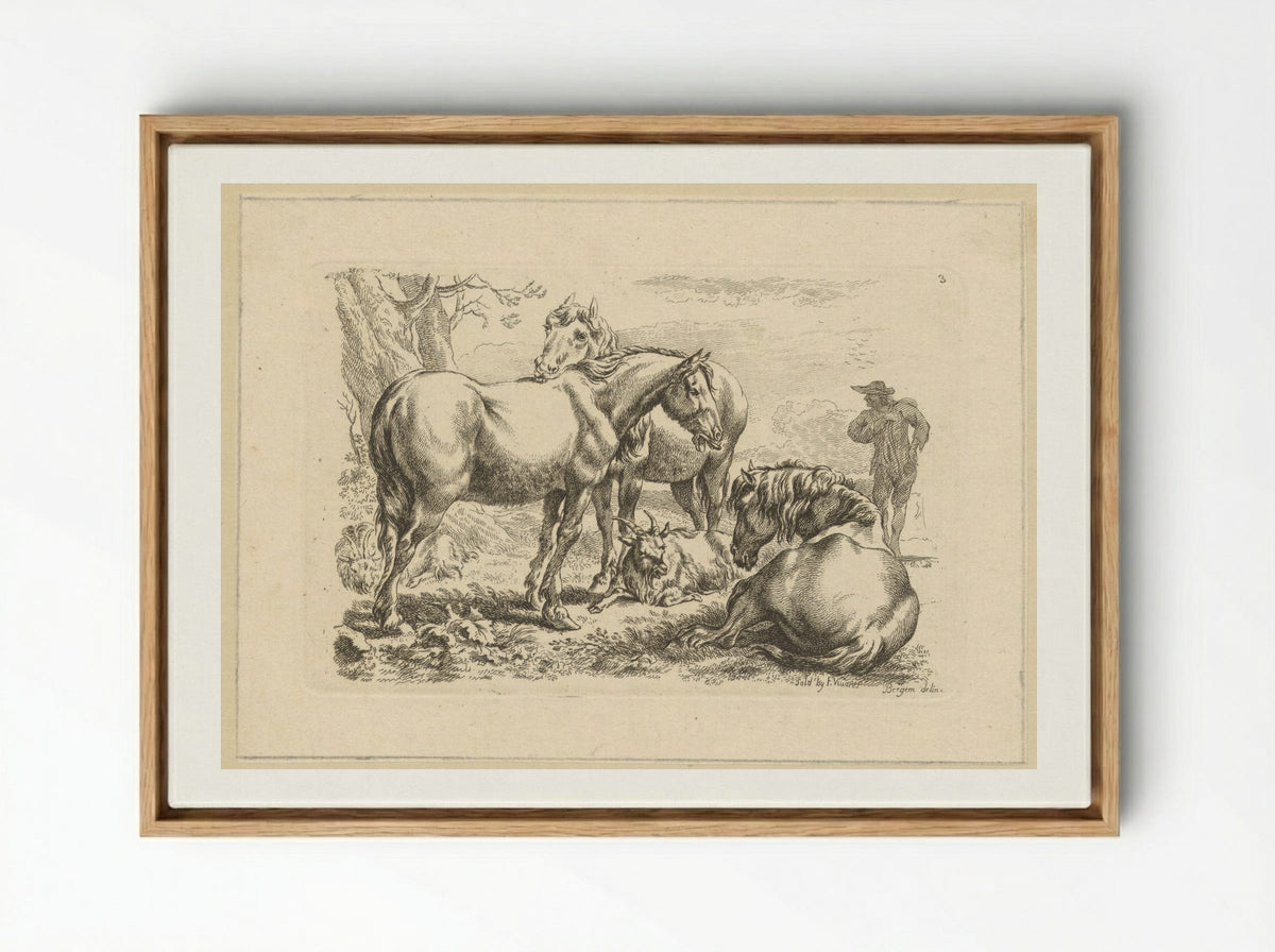 Drie paarden een geit - François Vivares - Framed Canvas Wood