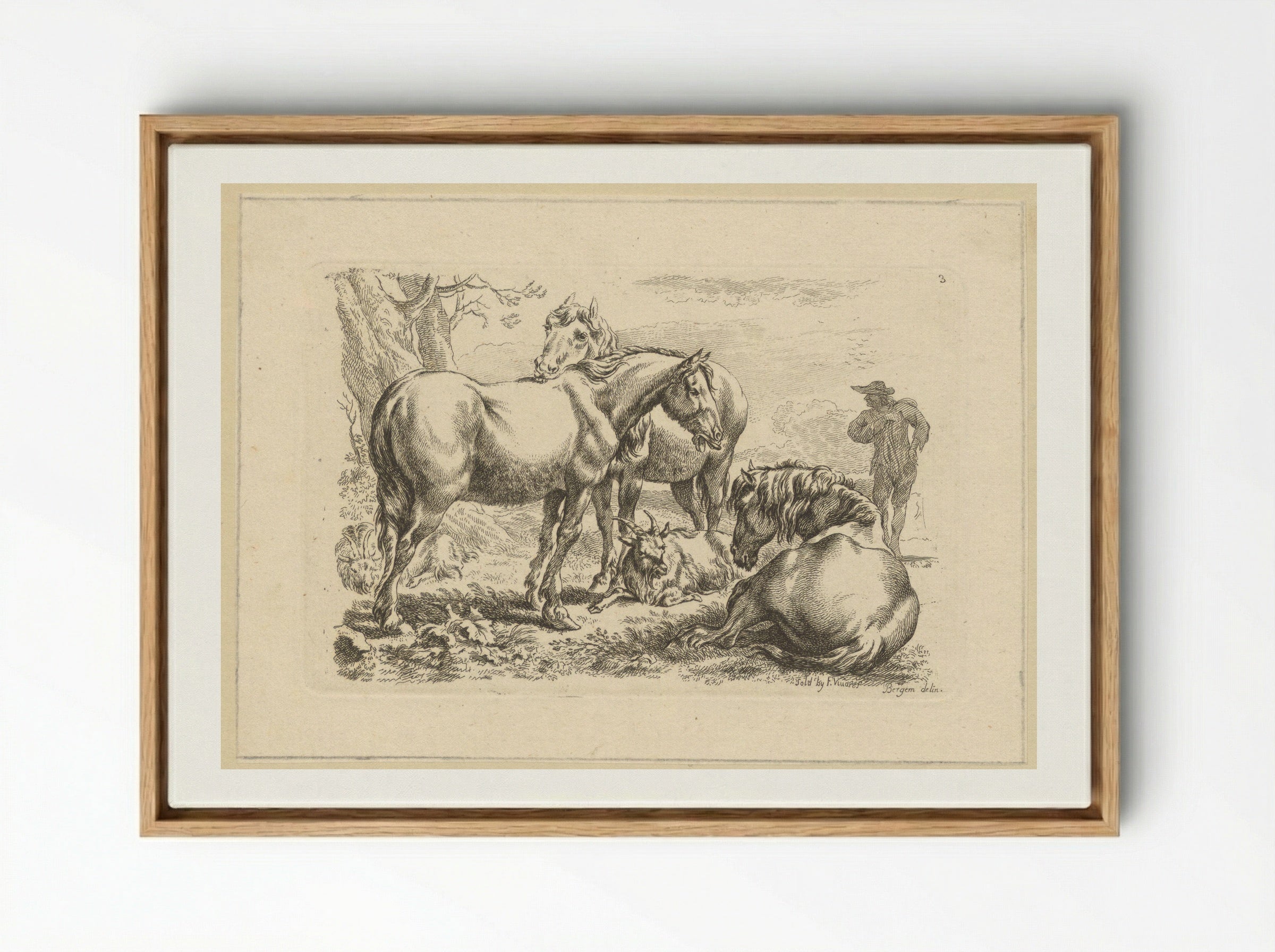 Drie paarden een geit - François Vivares - Framed Canvas Wood