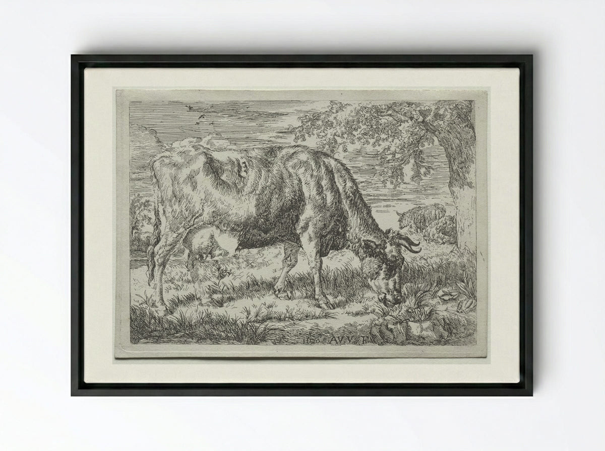 Two Cows Under a Tree - Adriaen van de Velde - Framed Canvas Black