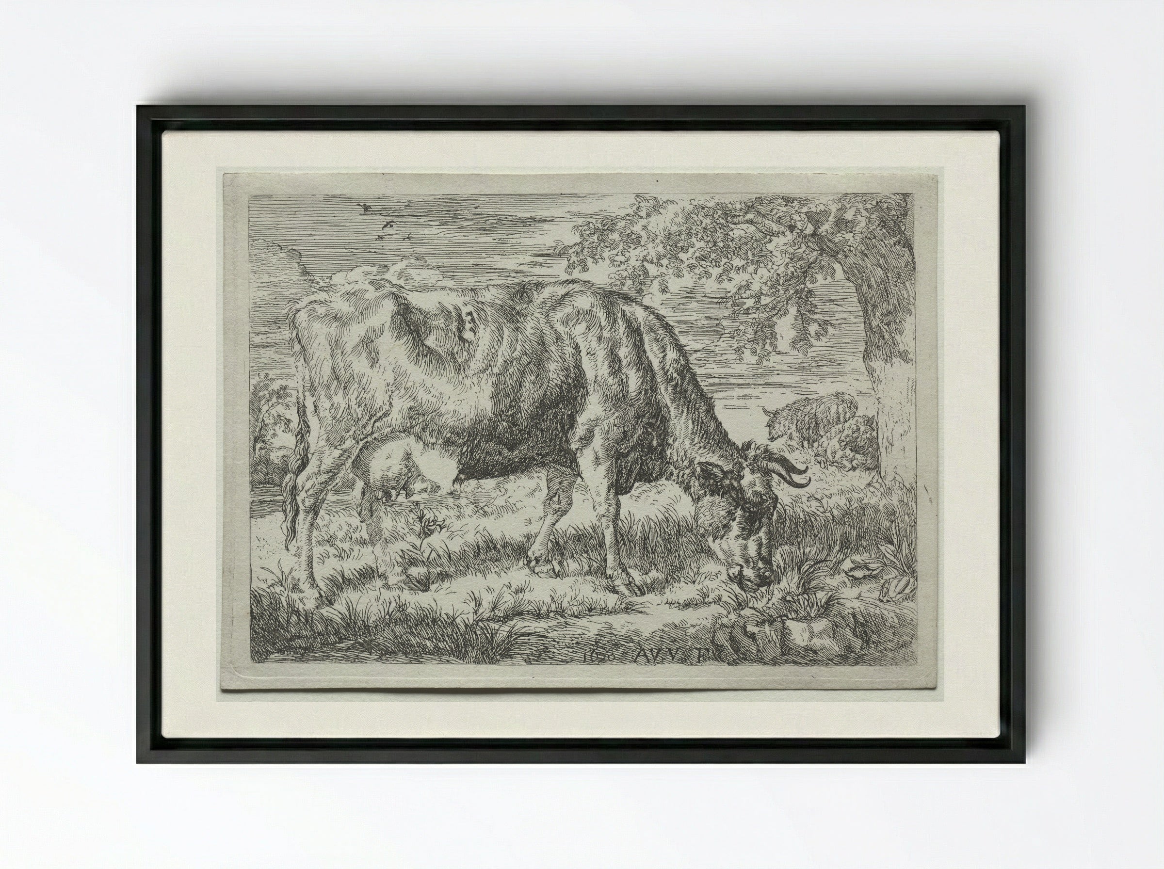Two Cows Under a Tree - Adriaen van de Velde - Framed Canvas Black