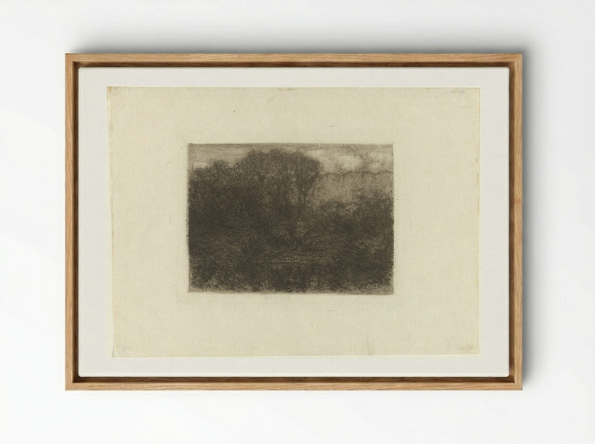 Woodland Pond - Matthijs Maris - Framed Canvas Wood