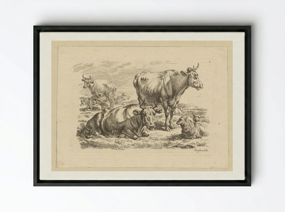 Staande en liggende runderen en een koe die gemolken wordt - François Vivares - Framed Canvas Black