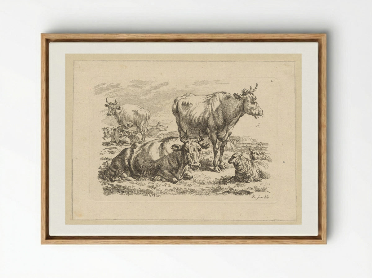 Staande en liggende runderen en een koe die gemolken wordt - François Vivares - Framed Canvas Wood