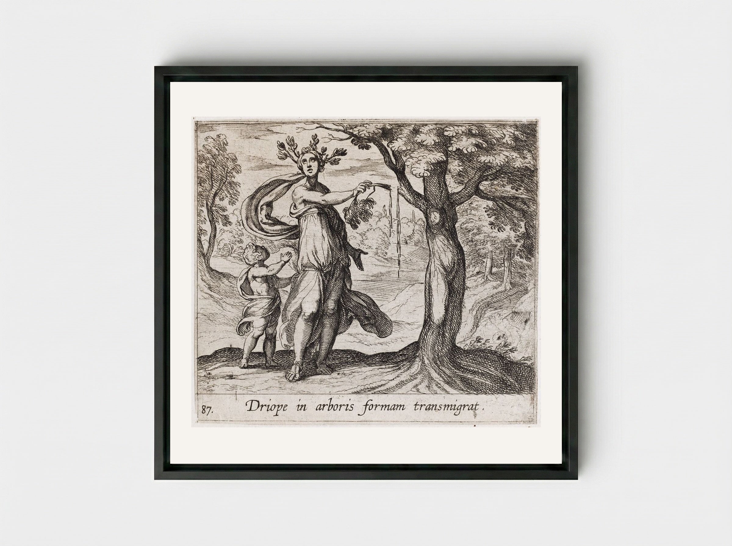 Dryope Changed into a Lotus Tree - Antonio Tempesta - Framed Canvas Black