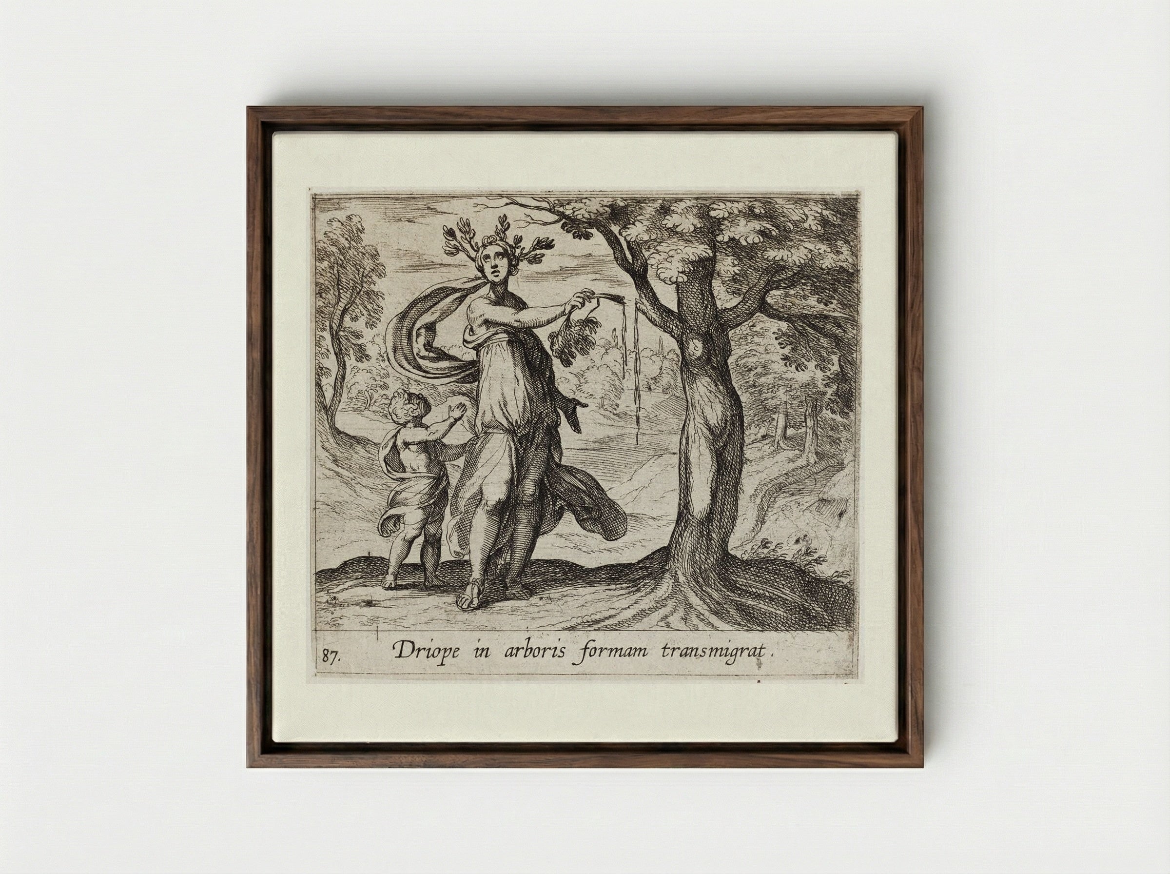 Dryope Changed into a Lotus Tree - Antonio Tempesta - Framed Canvas Dark Wood