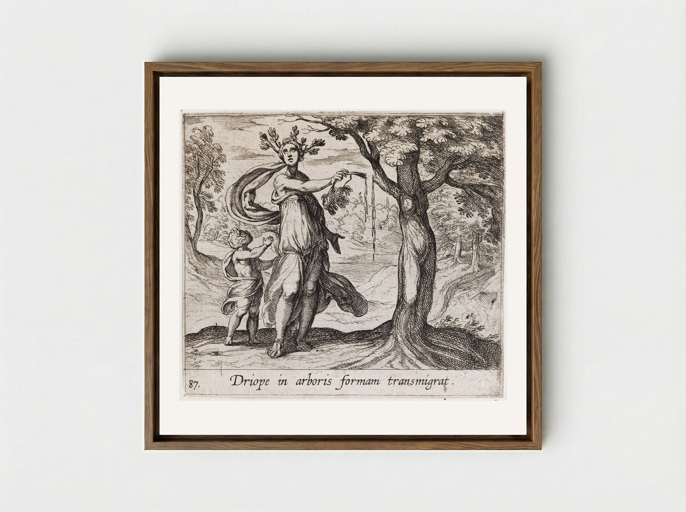 Dryope Changed into a Lotus Tree - Antonio Tempesta - Framed Canvas Wood