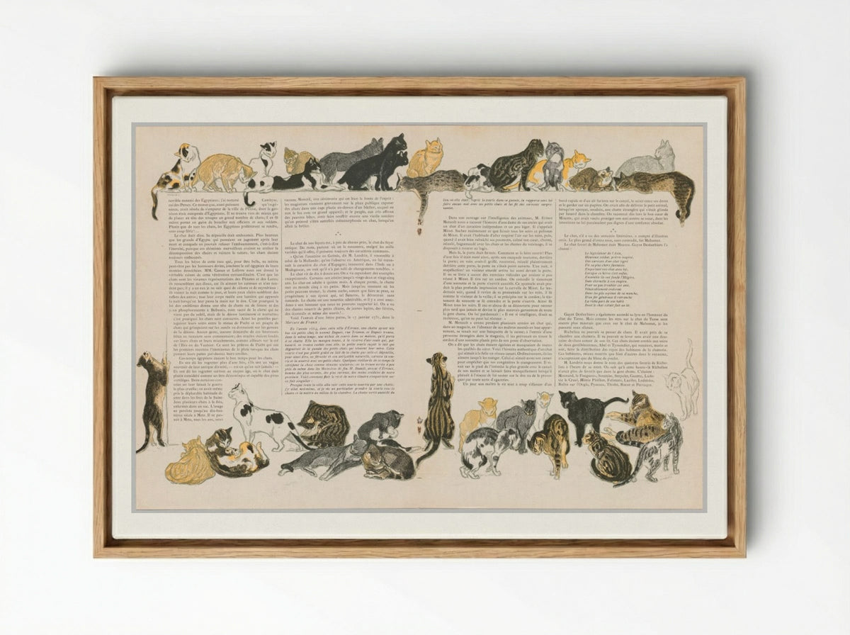 On Cats (Des Chats) - Théophile Alexandre Steinlen - Framed Canvas Wood
