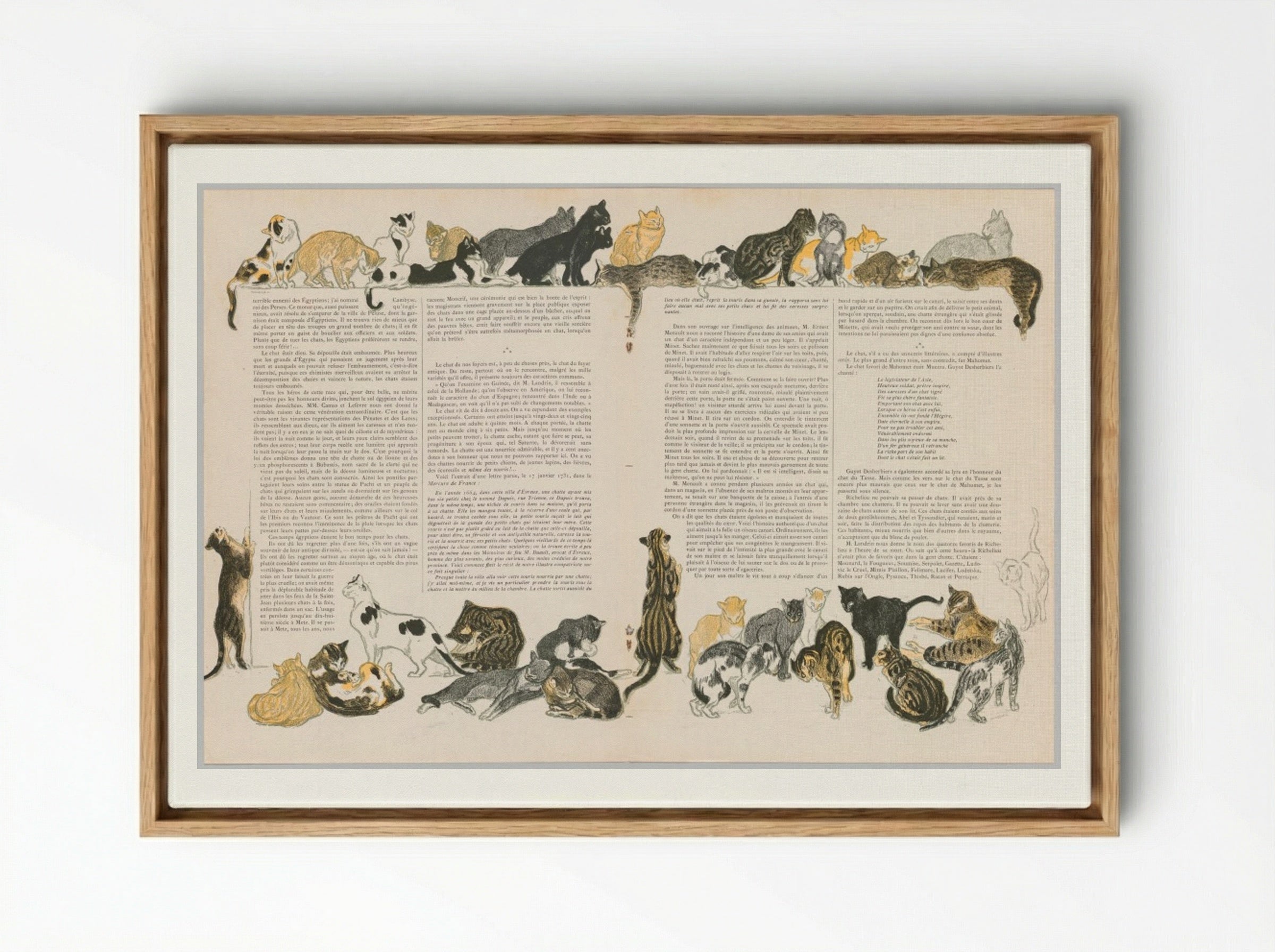On Cats (Des Chats) - Théophile Alexandre Steinlen - Framed Canvas Wood