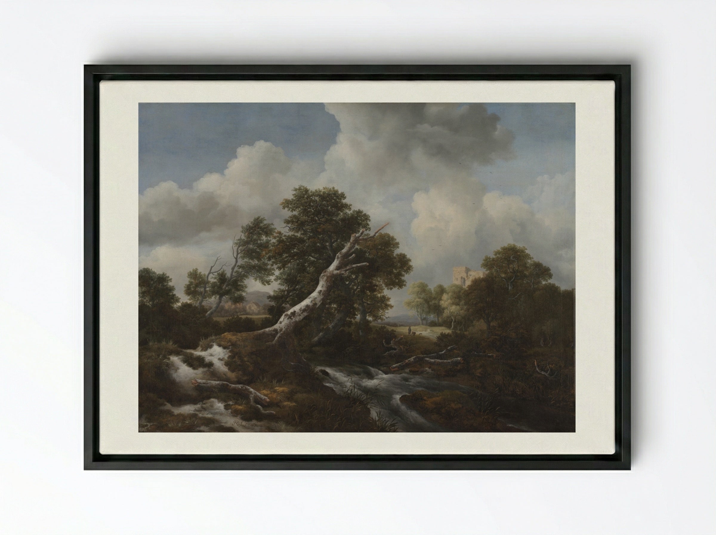 Low Waterfall in a Wooded Landscape with a Dead Beech Tree - Jacob van Ruisdael - Framed Canvas Black