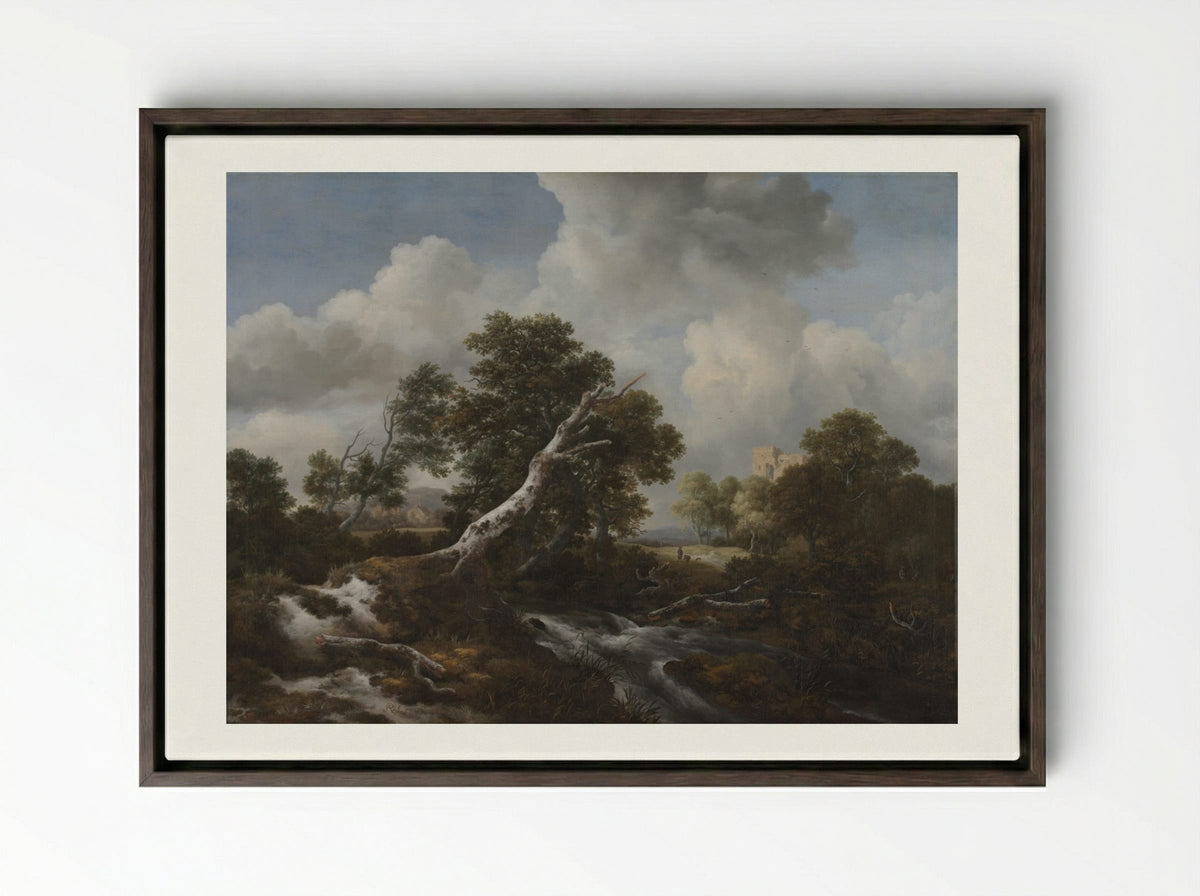 Low Waterfall in a Wooded Landscape with a Dead Beech Tree - Jacob van Ruisdael - Framed Canvas Dark Wood