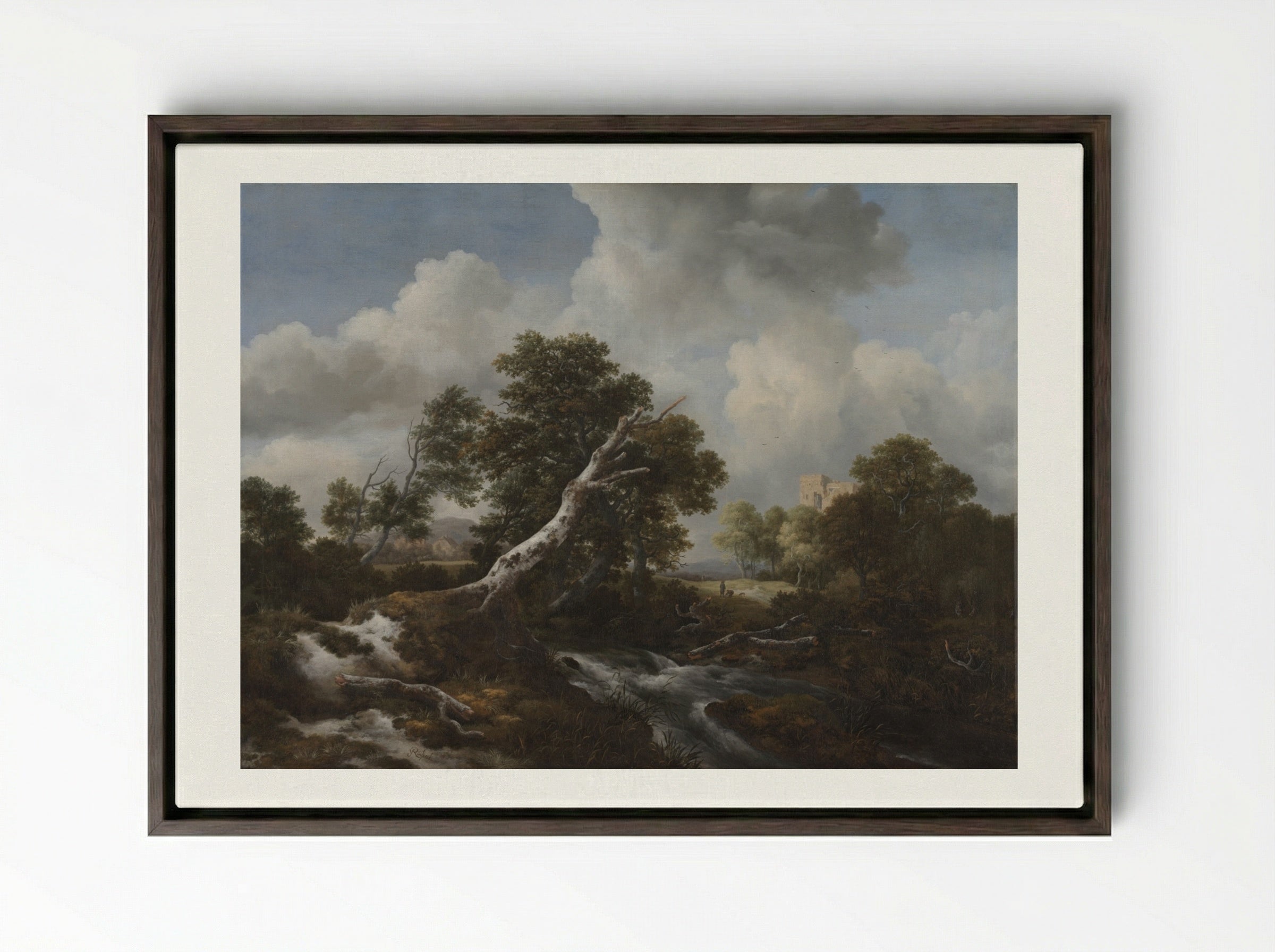 Low Waterfall in a Wooded Landscape with a Dead Beech Tree - Jacob van Ruisdael - Framed Canvas Dark Wood