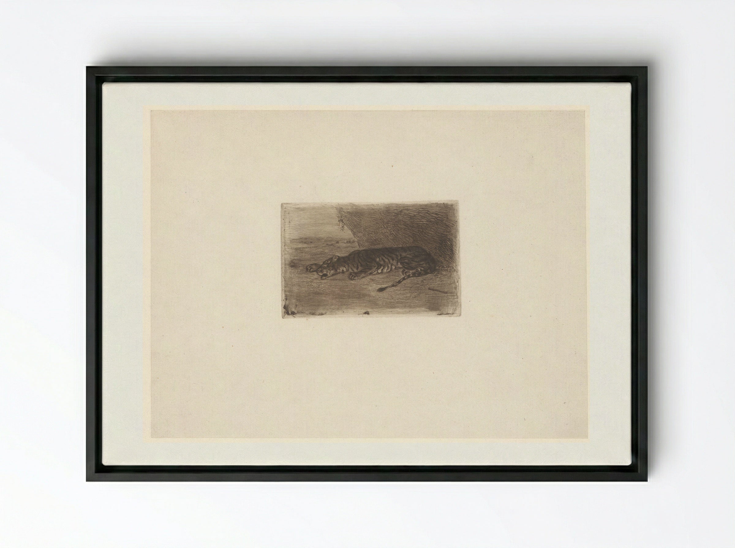 Sleeping Tiger - Eugène Delacroix - Framed Canvas Black