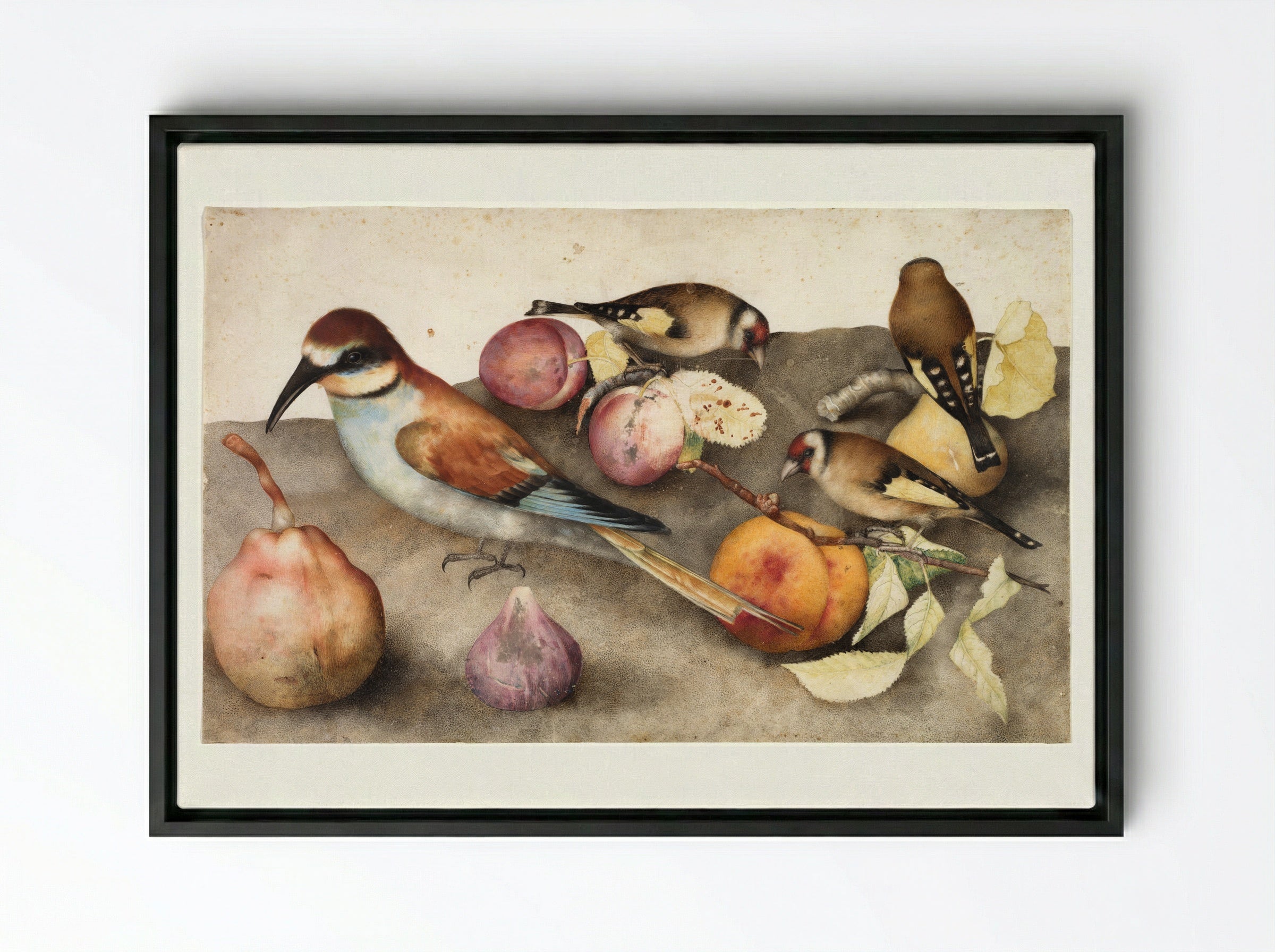 Still Life with Birds and Fruit - Giovanna Garzoni - Framed Canvas Black