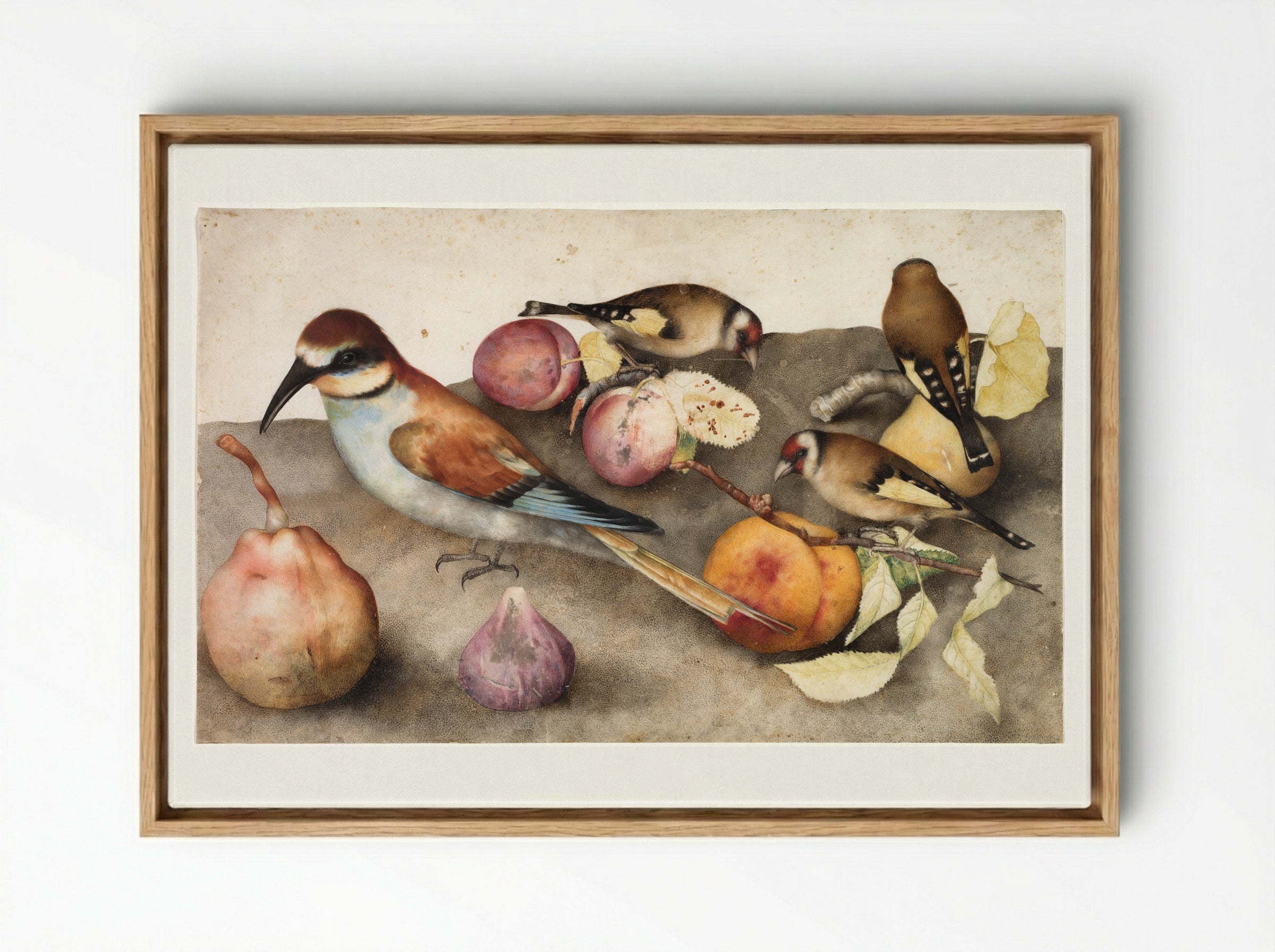 Still Life with Birds and Fruit - Giovanna Garzoni - Framed Canvas Wood