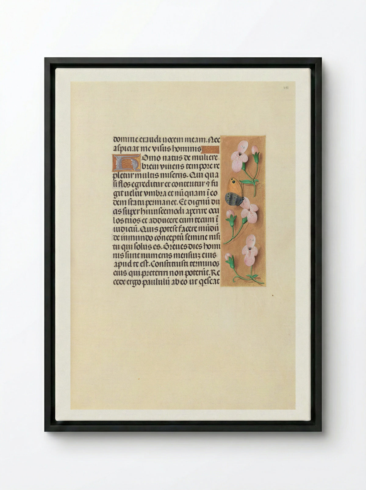 Hours of Queen Isabella the Catholic: Folio 238r - Master of the First Prayerbook of Maximilian - Framed Canvas Black