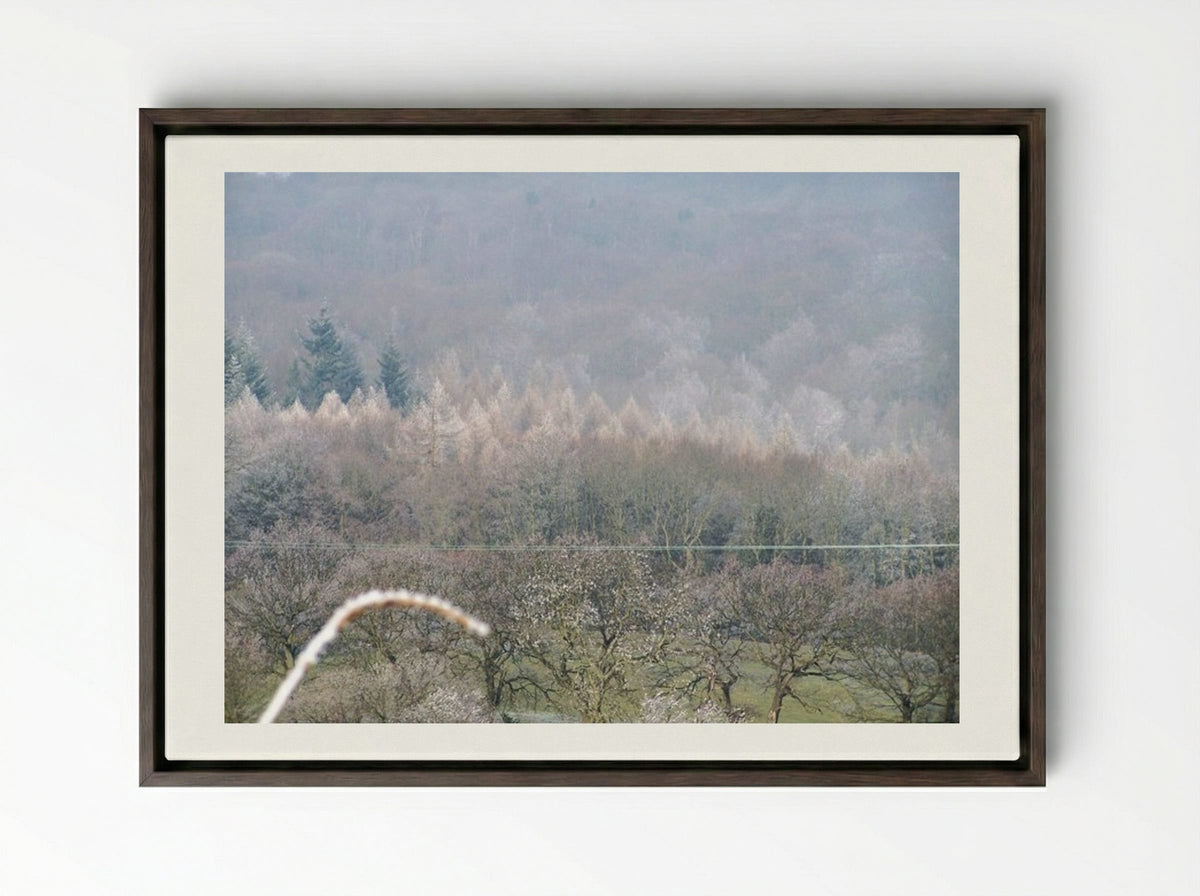 Tree, Tree - Terry Frost - Framed Canvas Dark Wood
