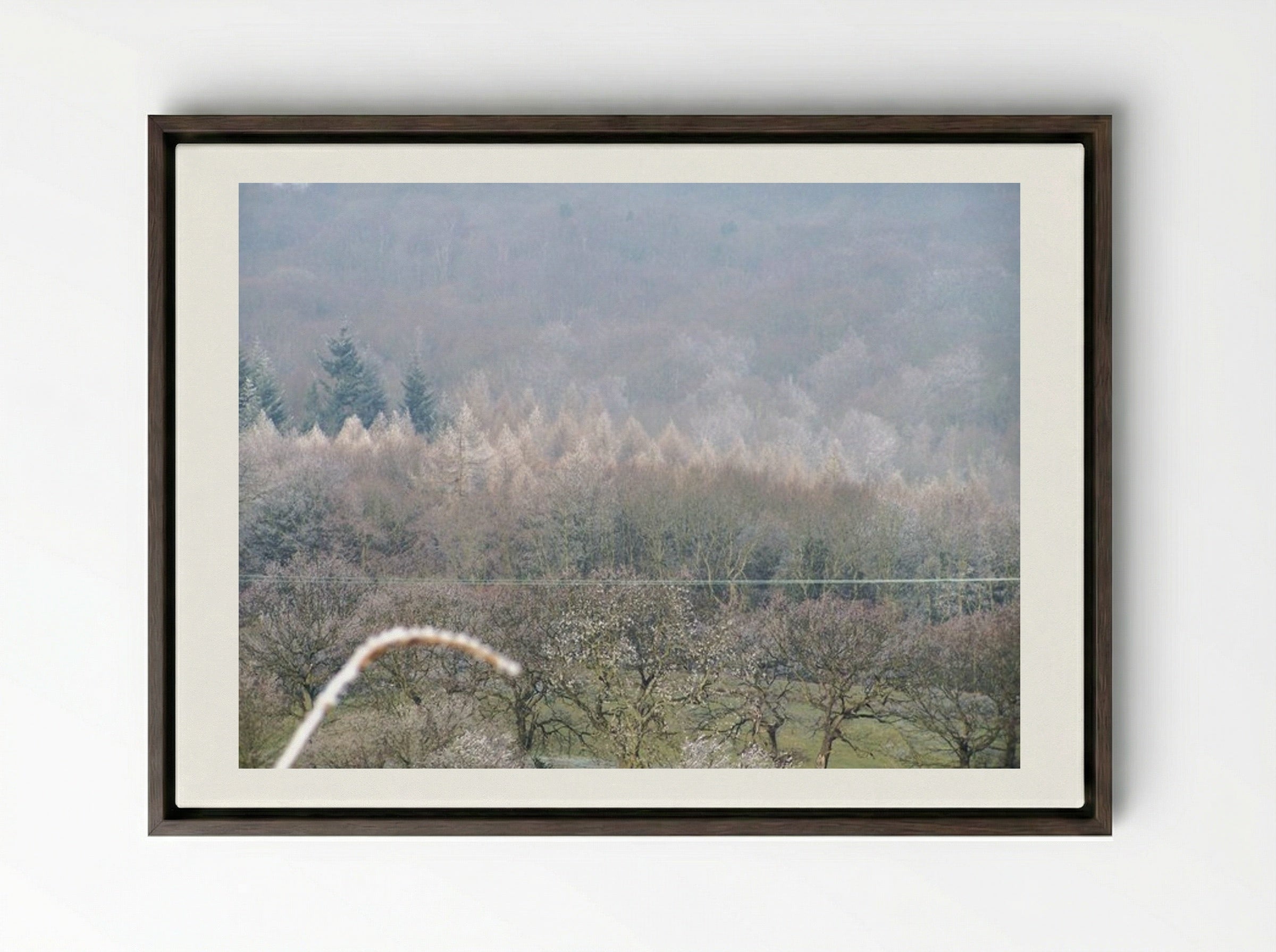 Tree, Tree - Terry Frost - Framed Canvas Dark Wood
