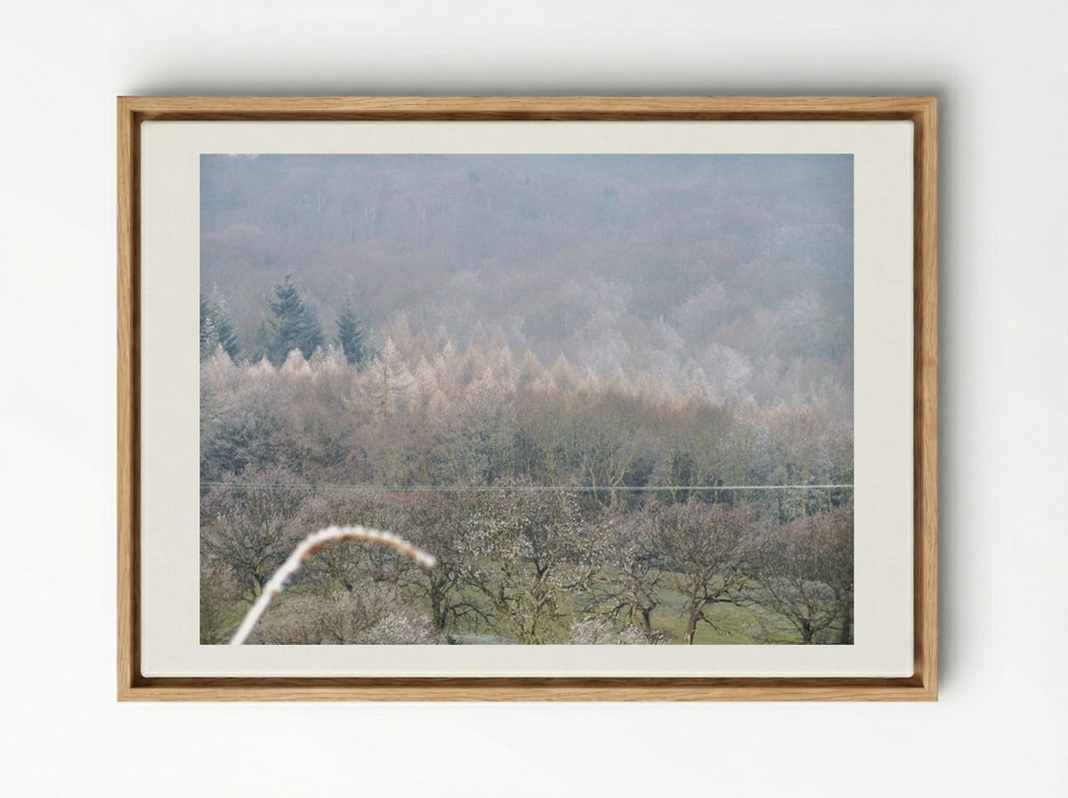 Tree, Tree - Terry Frost - Framed Canvas Wood