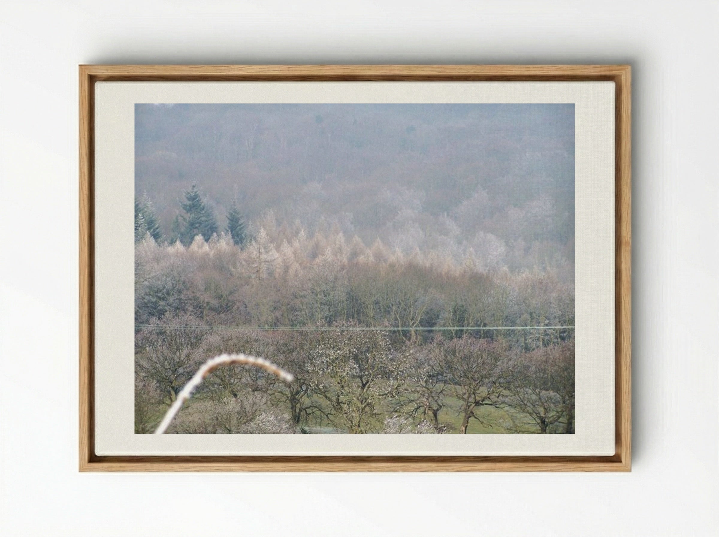 Tree, Tree - Terry Frost - Framed Canvas Wood