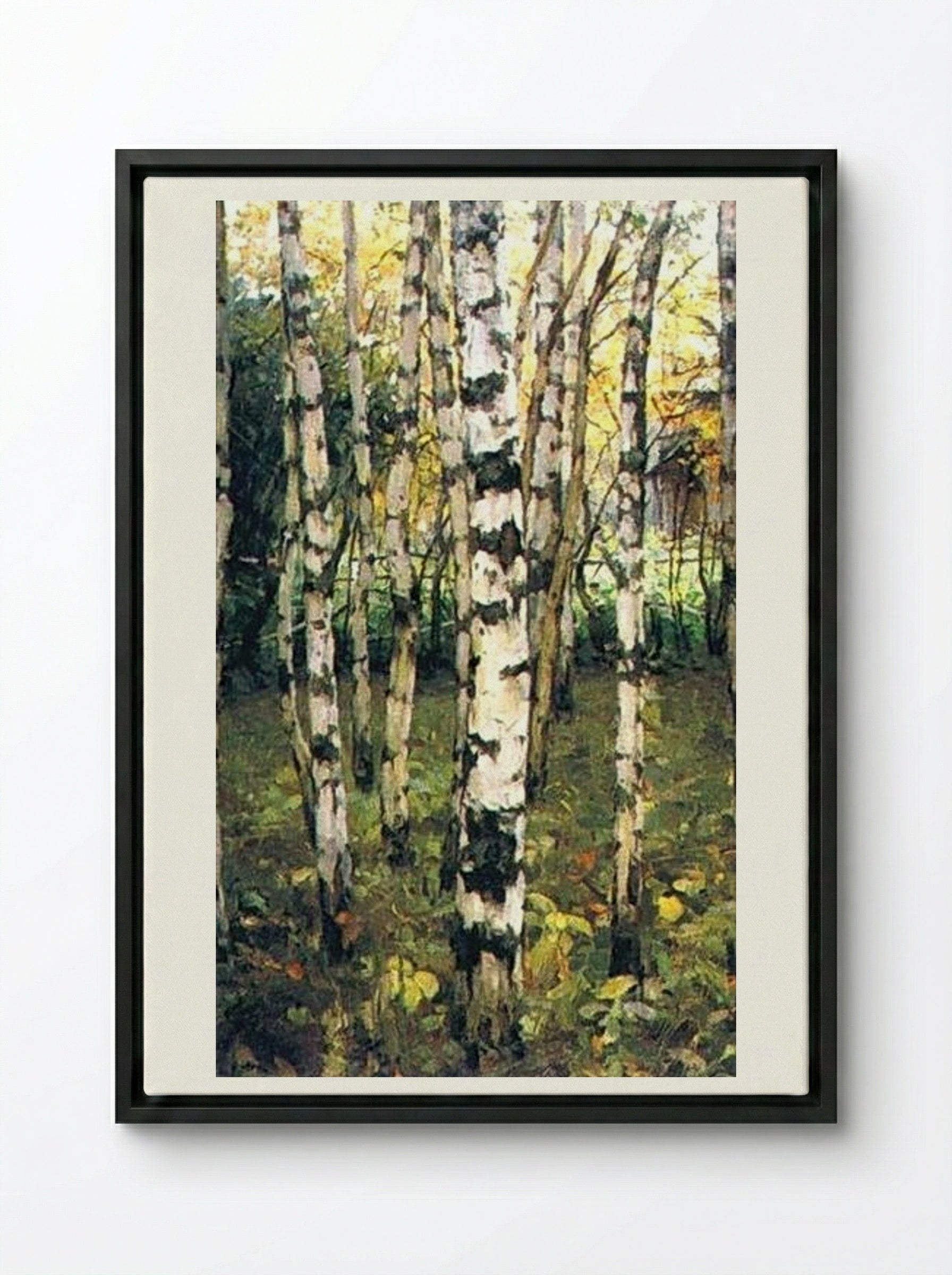 Birches. Petrovskoye - Konstantin Yuon - Framed Canvas Black