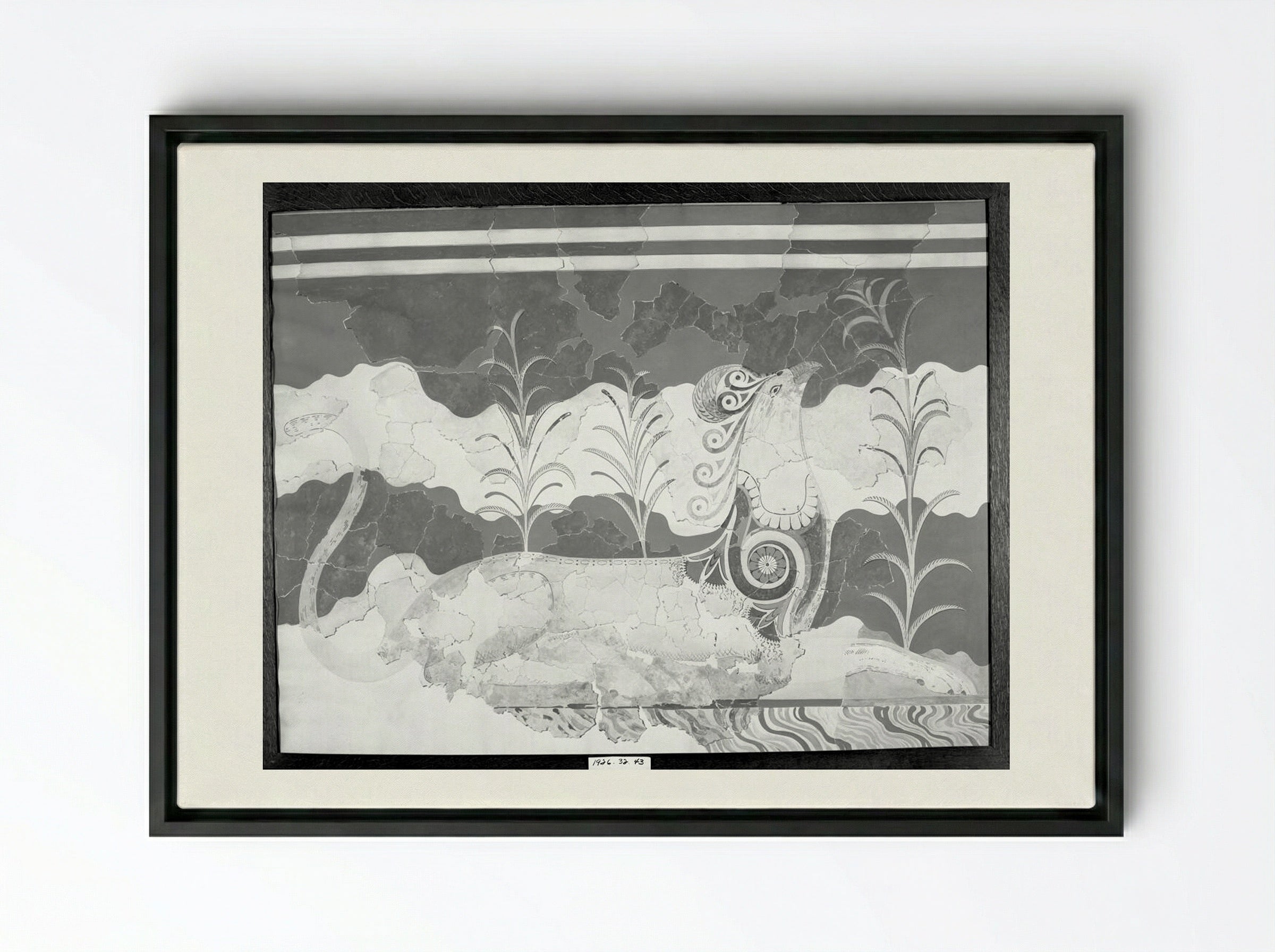 Griffin (after a fresco from the Throne Room in the Palace of Knossos, Crete) - Fine Art Print - Framed Canvas Black
