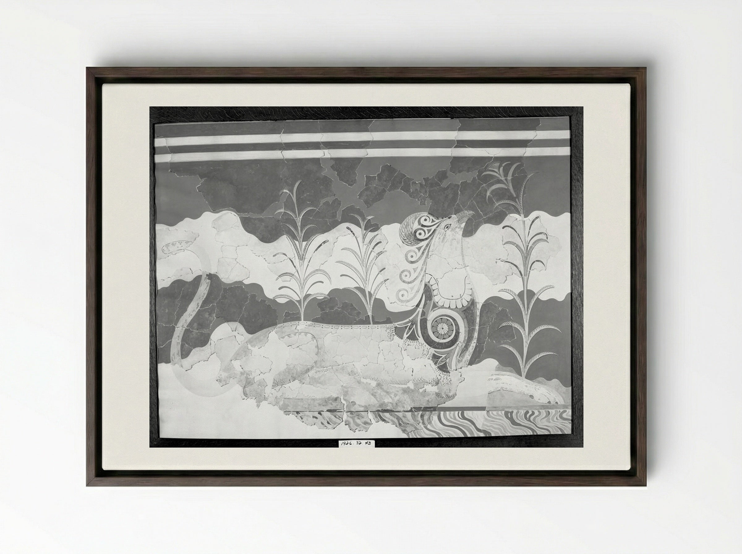 Griffin (after a fresco from the Throne Room in the Palace of Knossos, Crete) - Fine Art Print - Framed Canvas Dark Wood