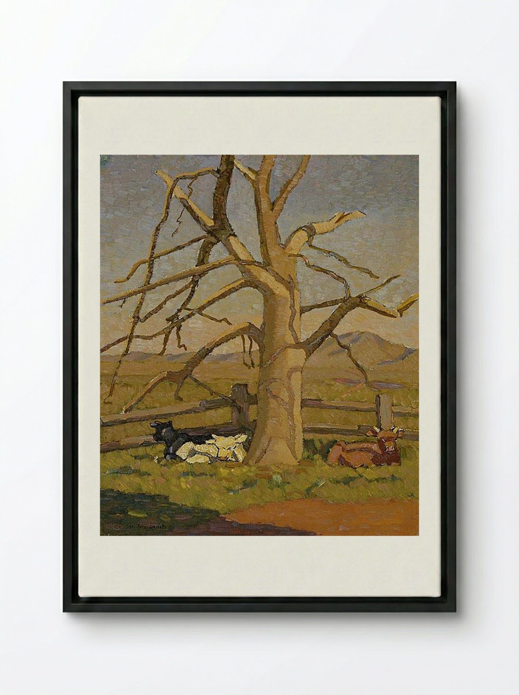 Sunny morning: Cows at Lanyon - Grace Cossington Smith - Framed Canvas Black