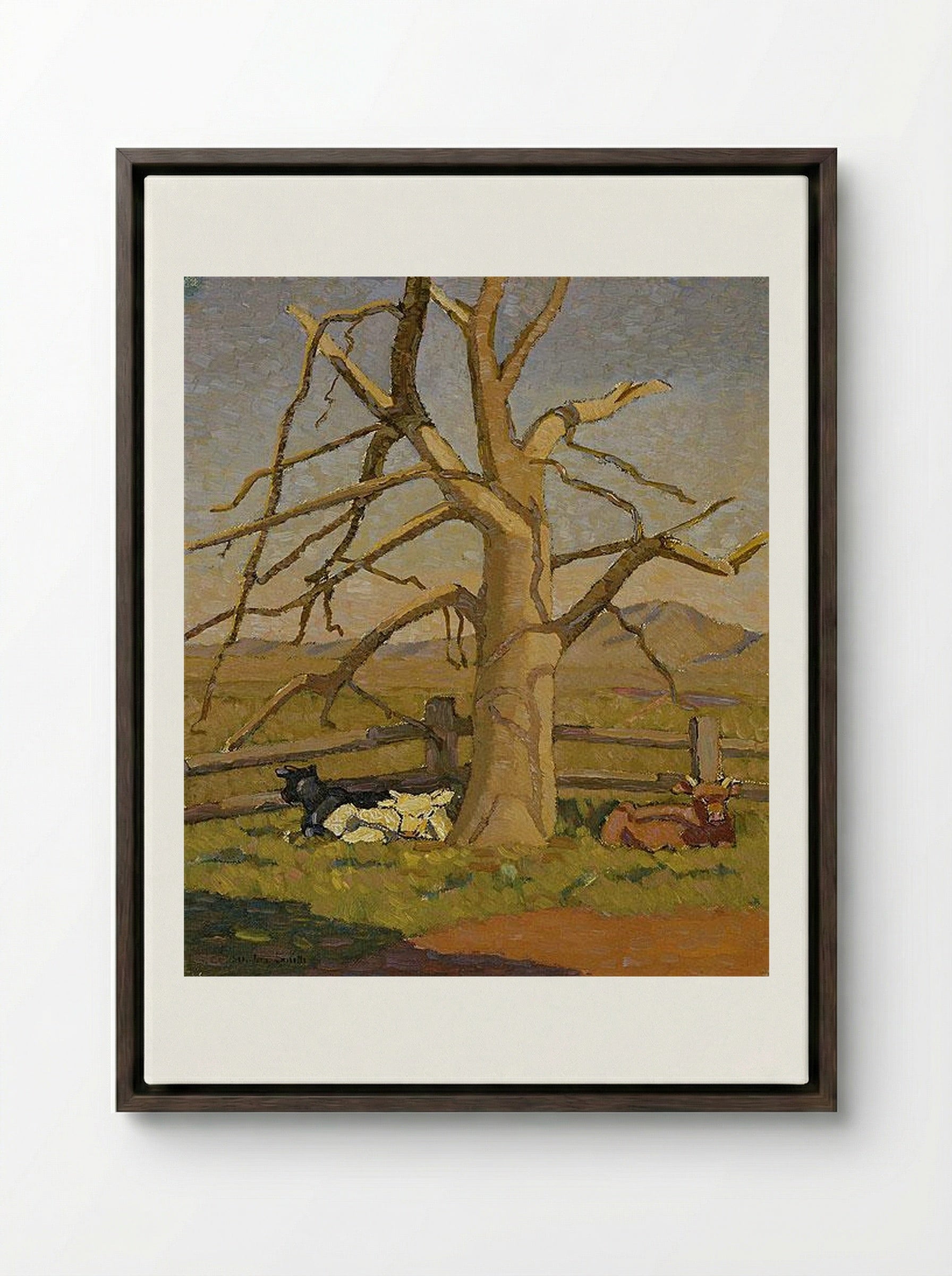 Sunny morning: Cows at Lanyon - Grace Cossington Smith - Framed Canvas Dark Wood