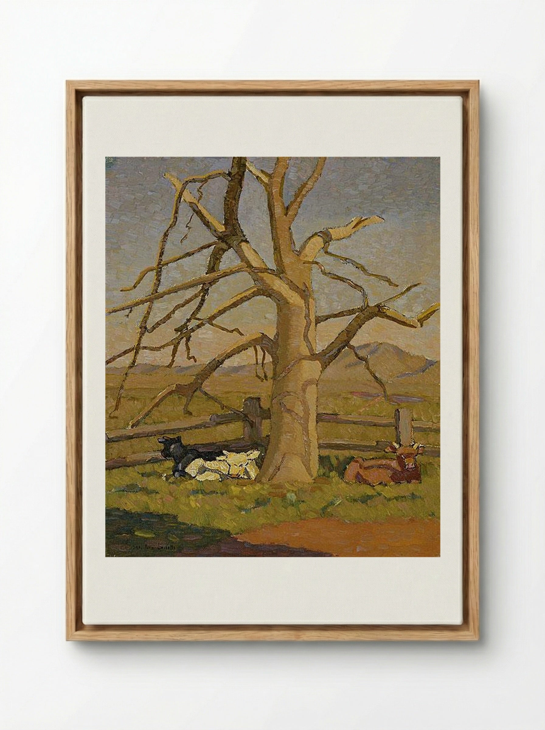 Sunny morning: Cows at Lanyon - Grace Cossington Smith - Framed Canvas Wood