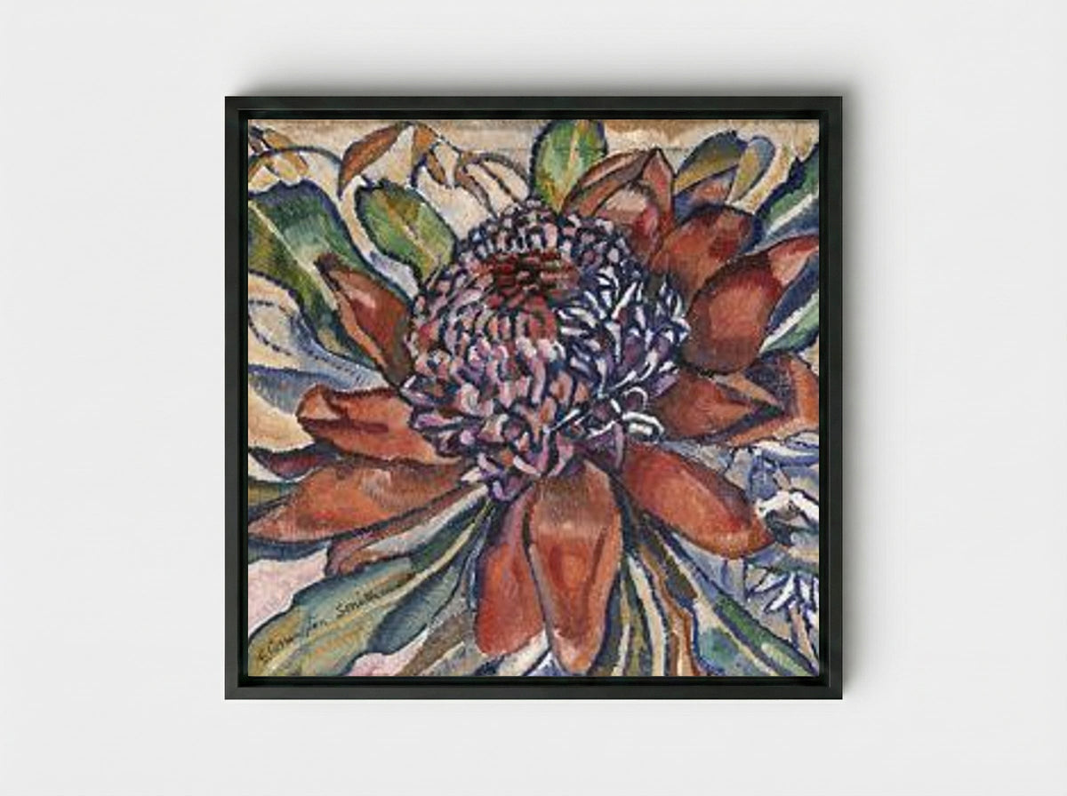 Waratah - Grace Cossington Smith - Framed Canvas Black