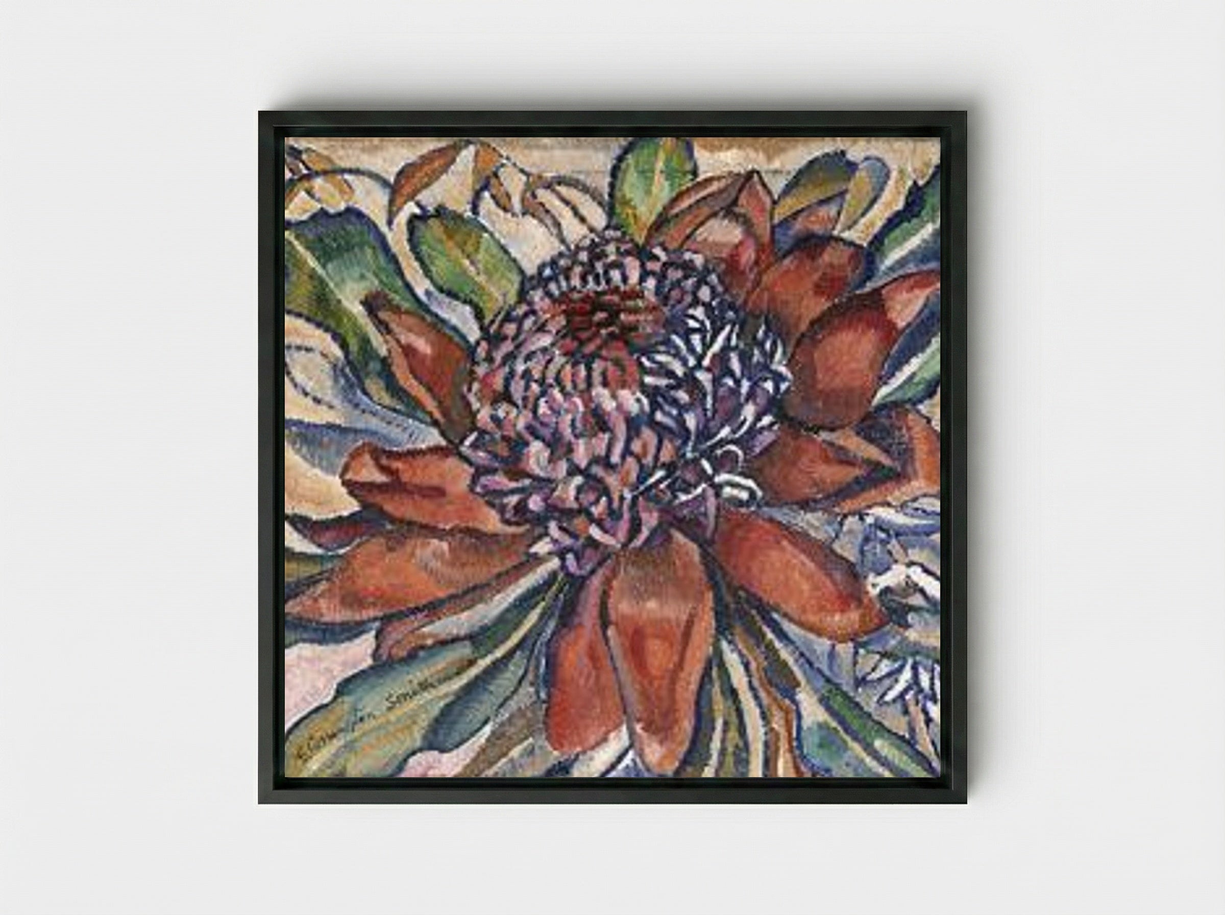 Waratah - Grace Cossington Smith - Framed Canvas Black