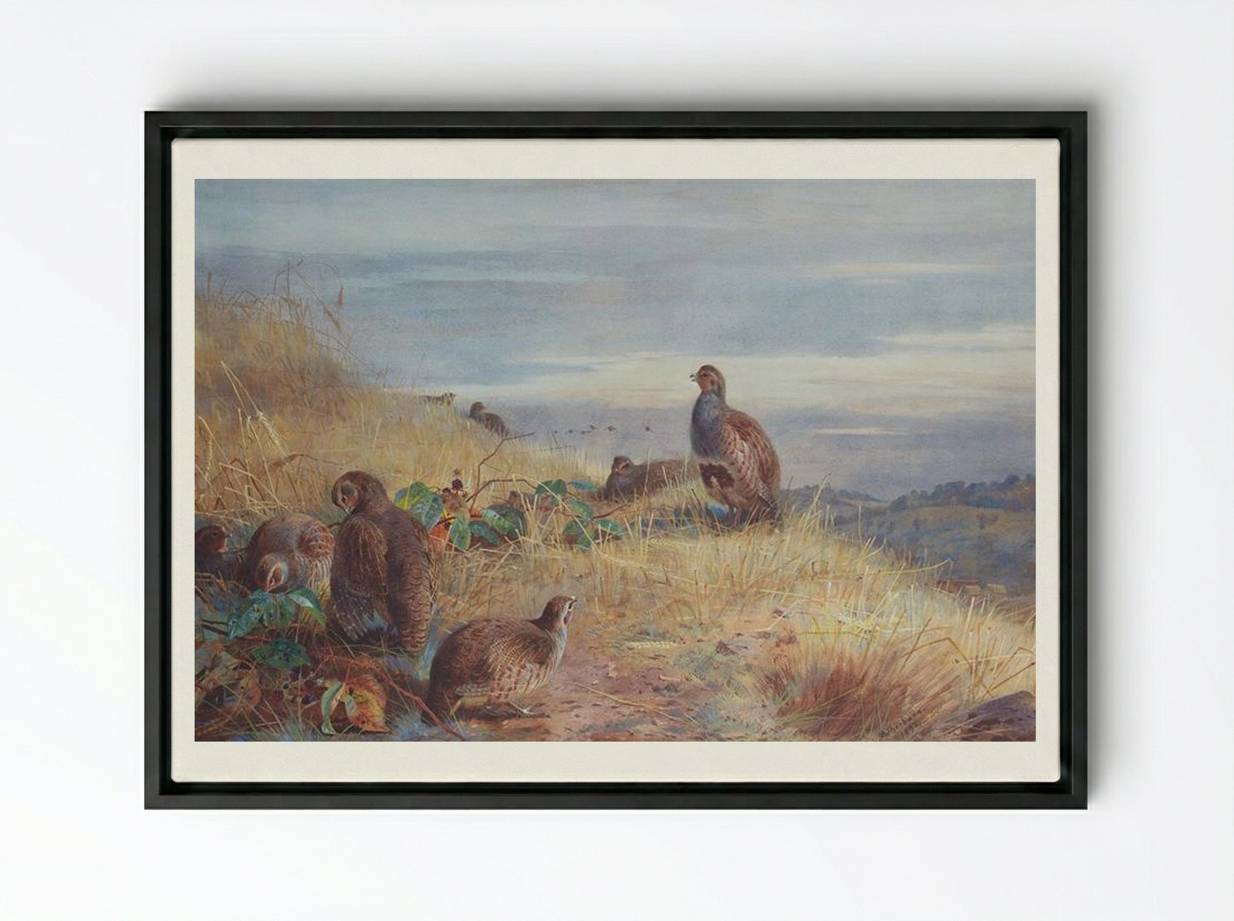 The Covey at Daybreak - Archibald Thorburn - Framed Canvas Black