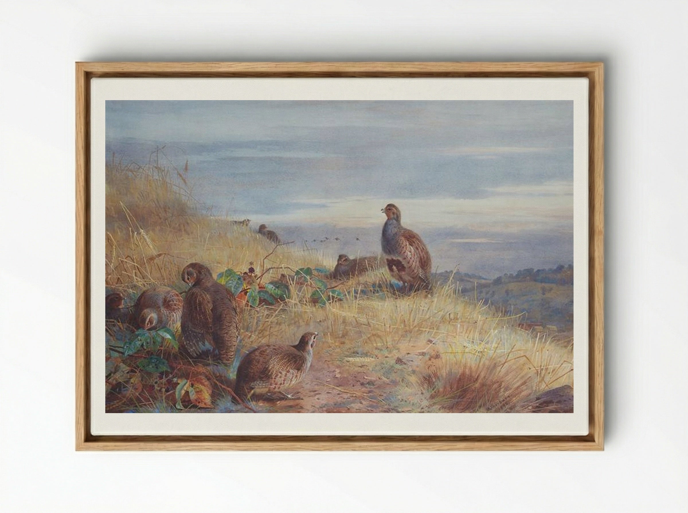 The Covey at Daybreak - Archibald Thorburn - Framed Canvas Wood