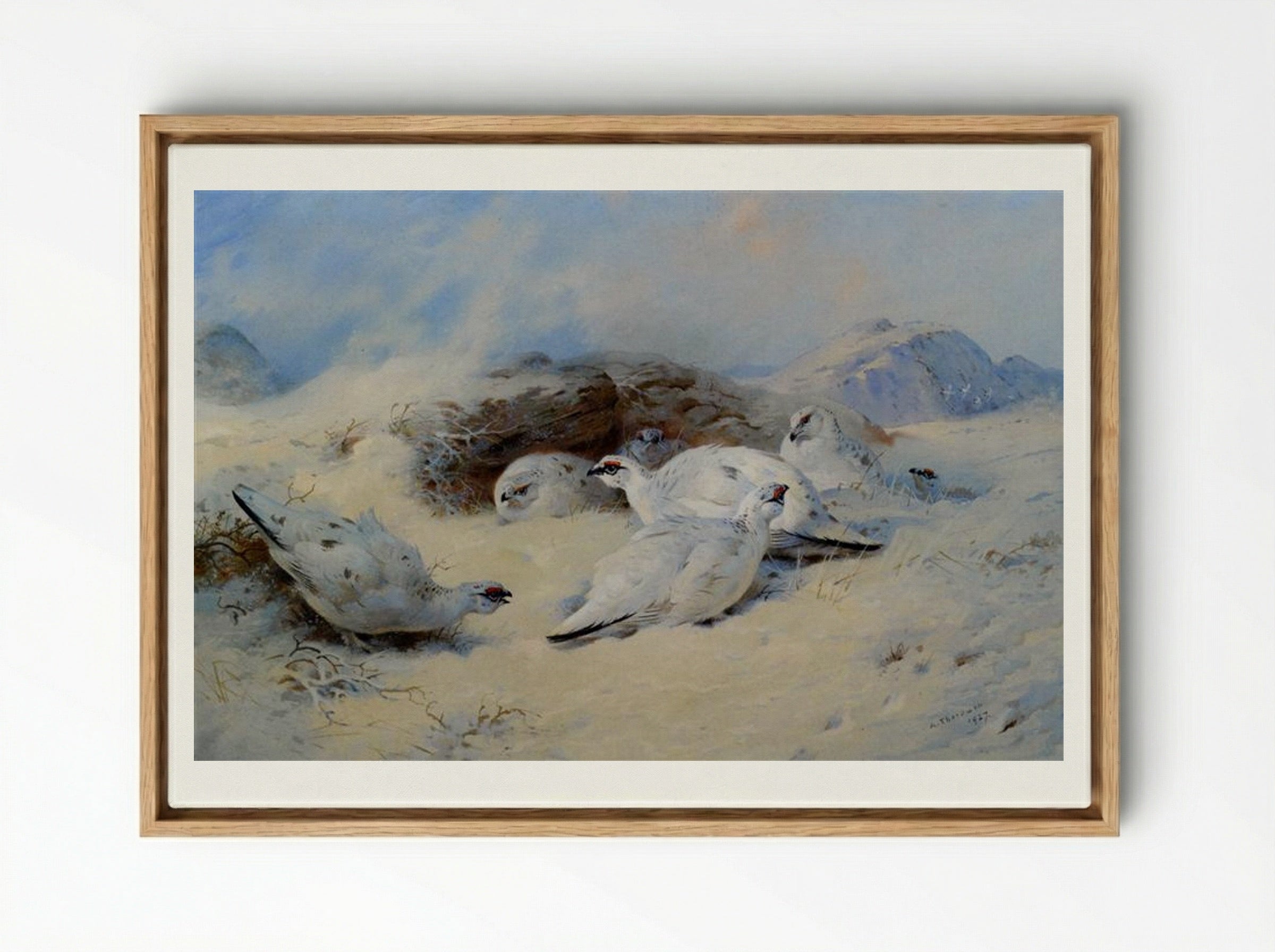 Ptarmigan Seeking Shelter - Archibald Thorburn - Framed Canvas Wood