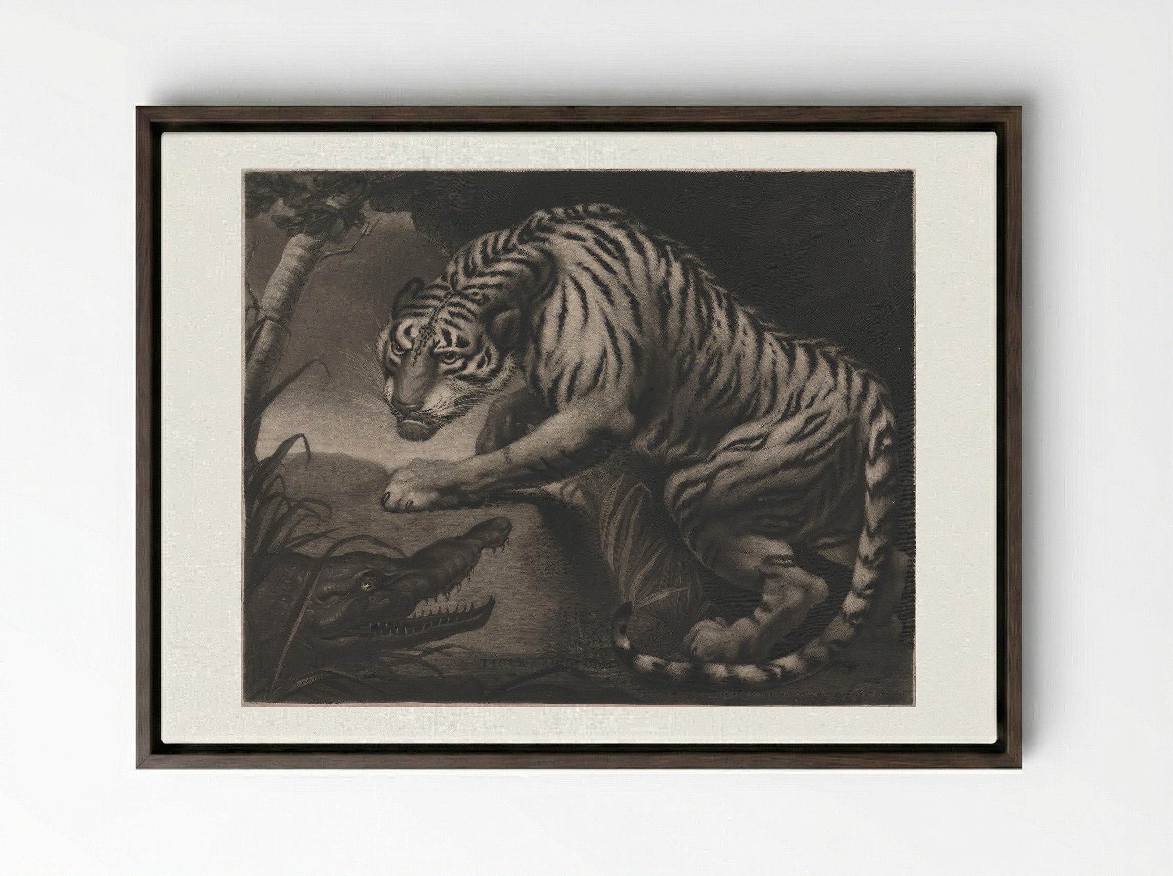 Tiger & Crocodile - Charles Turner - Framed Canvas Dark Wood